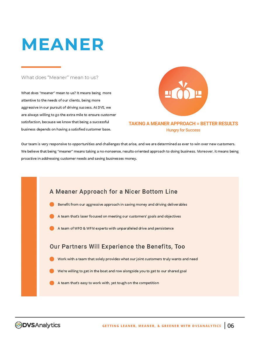 Leaner, Meaner & Greener white paper for DVSAnalytics