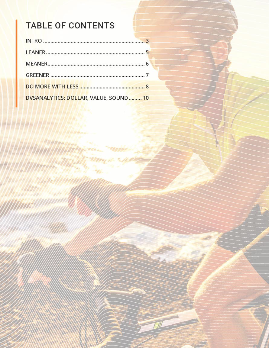 Leaner, Meaner & Greener white paper for DVSAnalytics