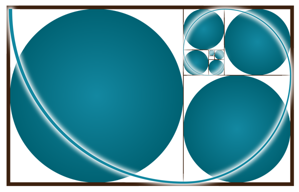golden ratio forming a spiral based on the Fibonacci sequence