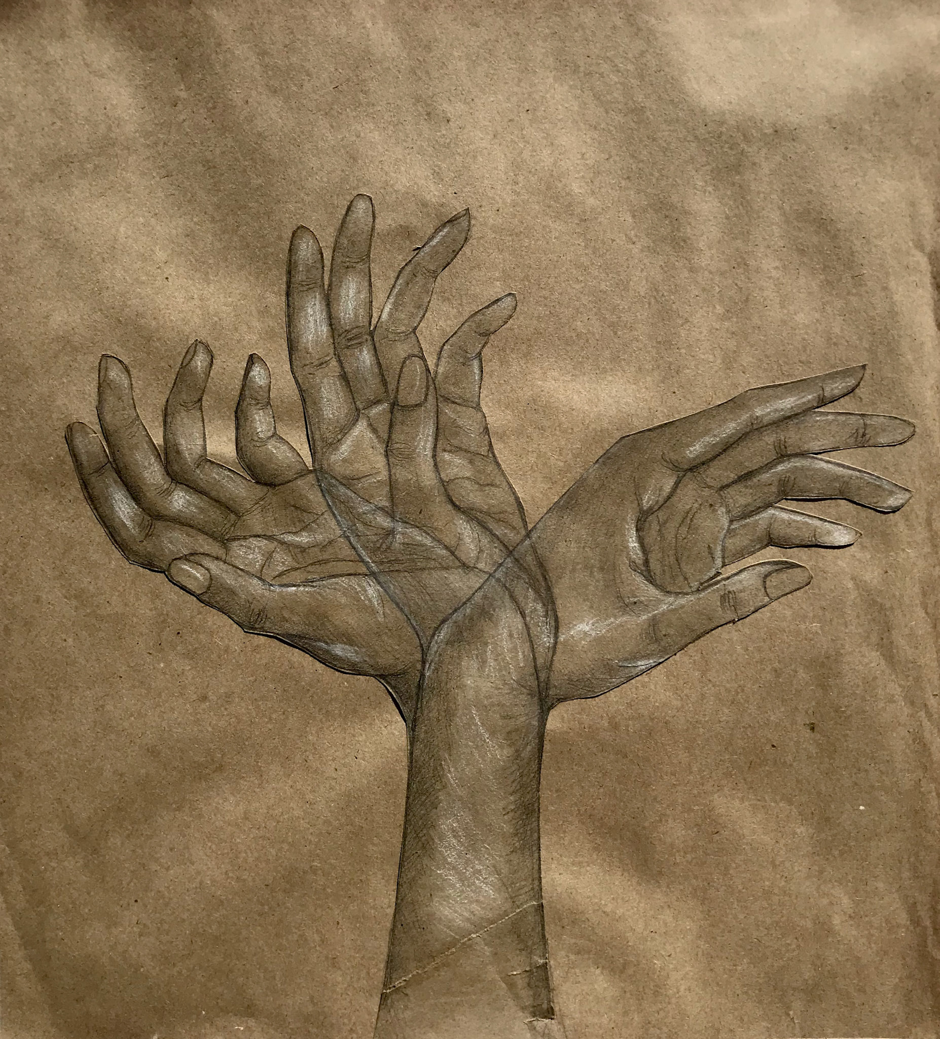 Graphite and white chalk on brown paper.