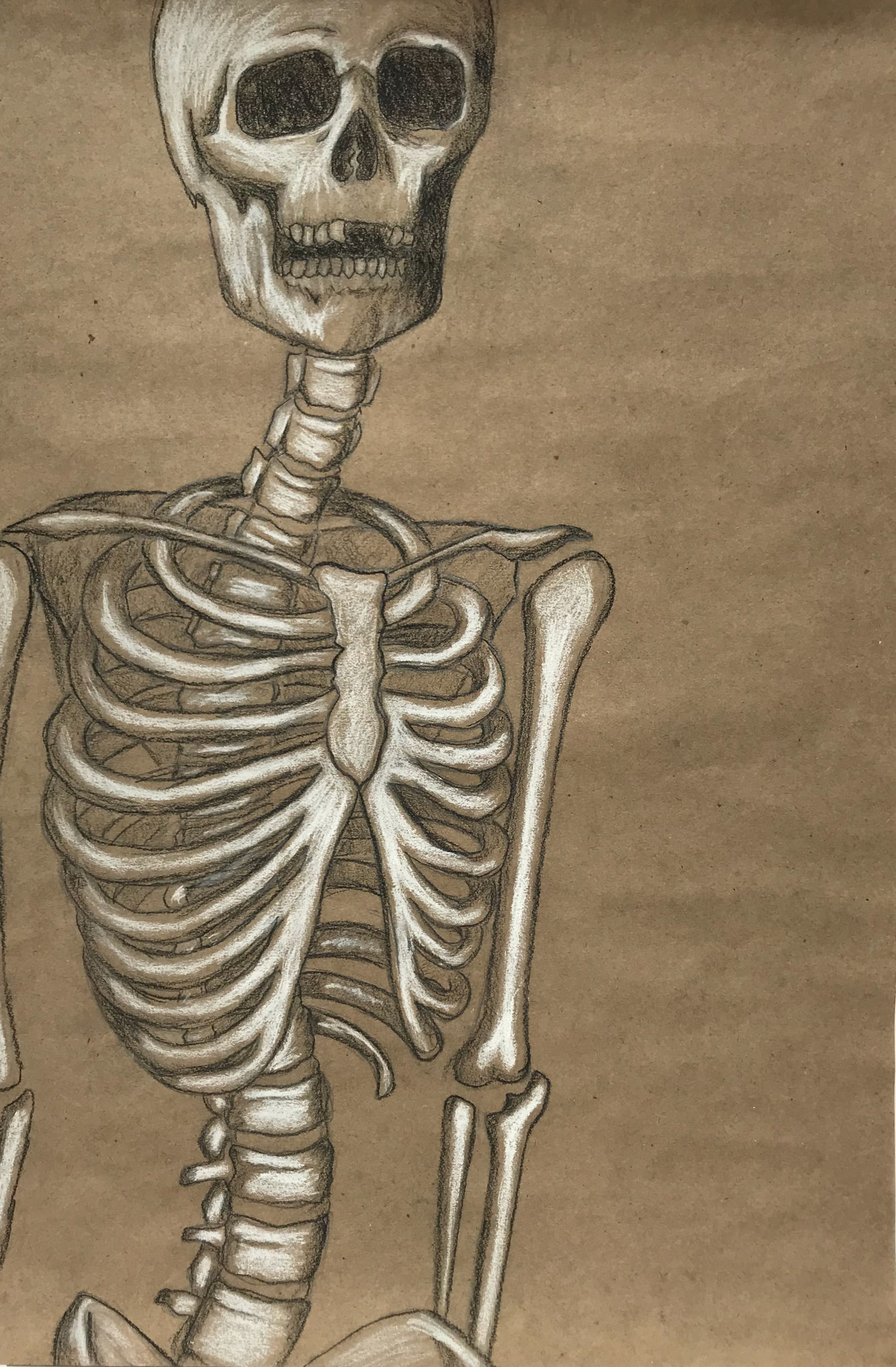 Chalk and white chalk on brown paper.