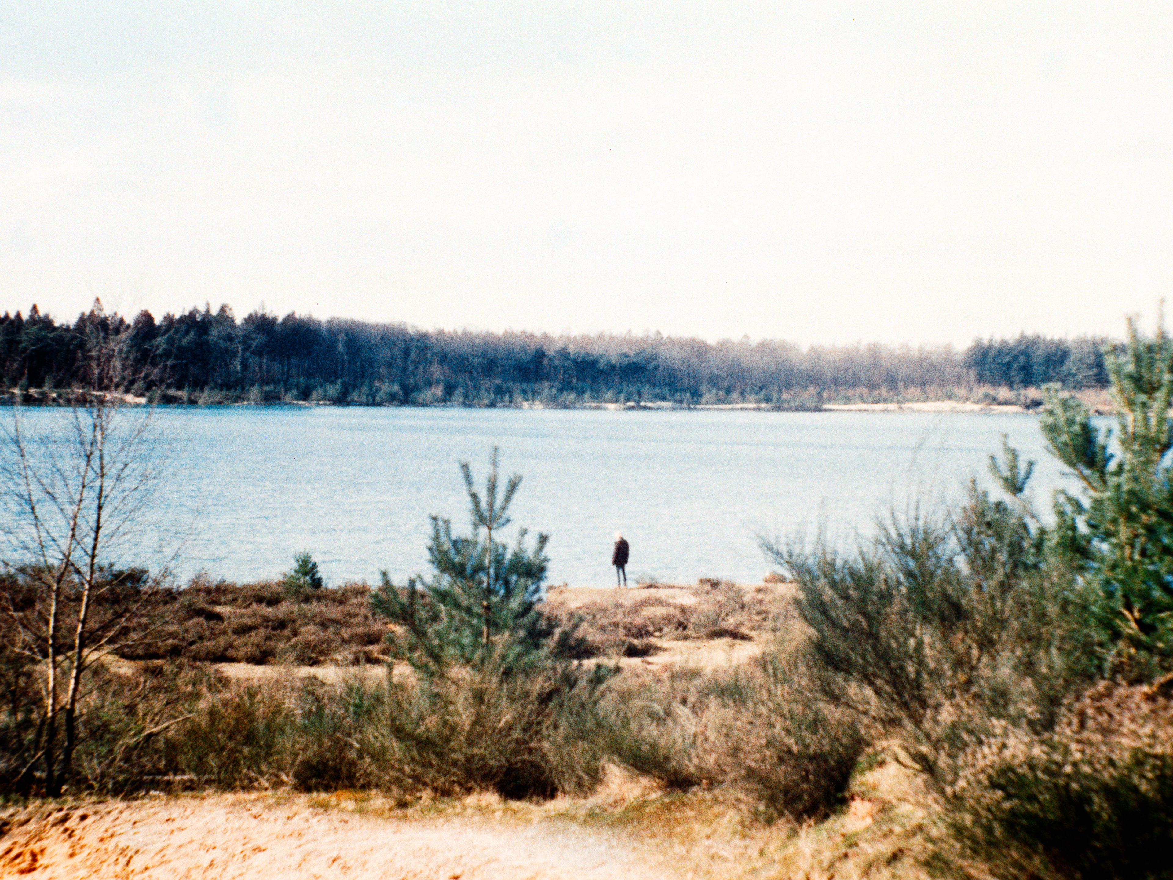 Gasselte, 2025 - Minolta 600SI + Minolta AF 24-105mm  - Harman Phoenix