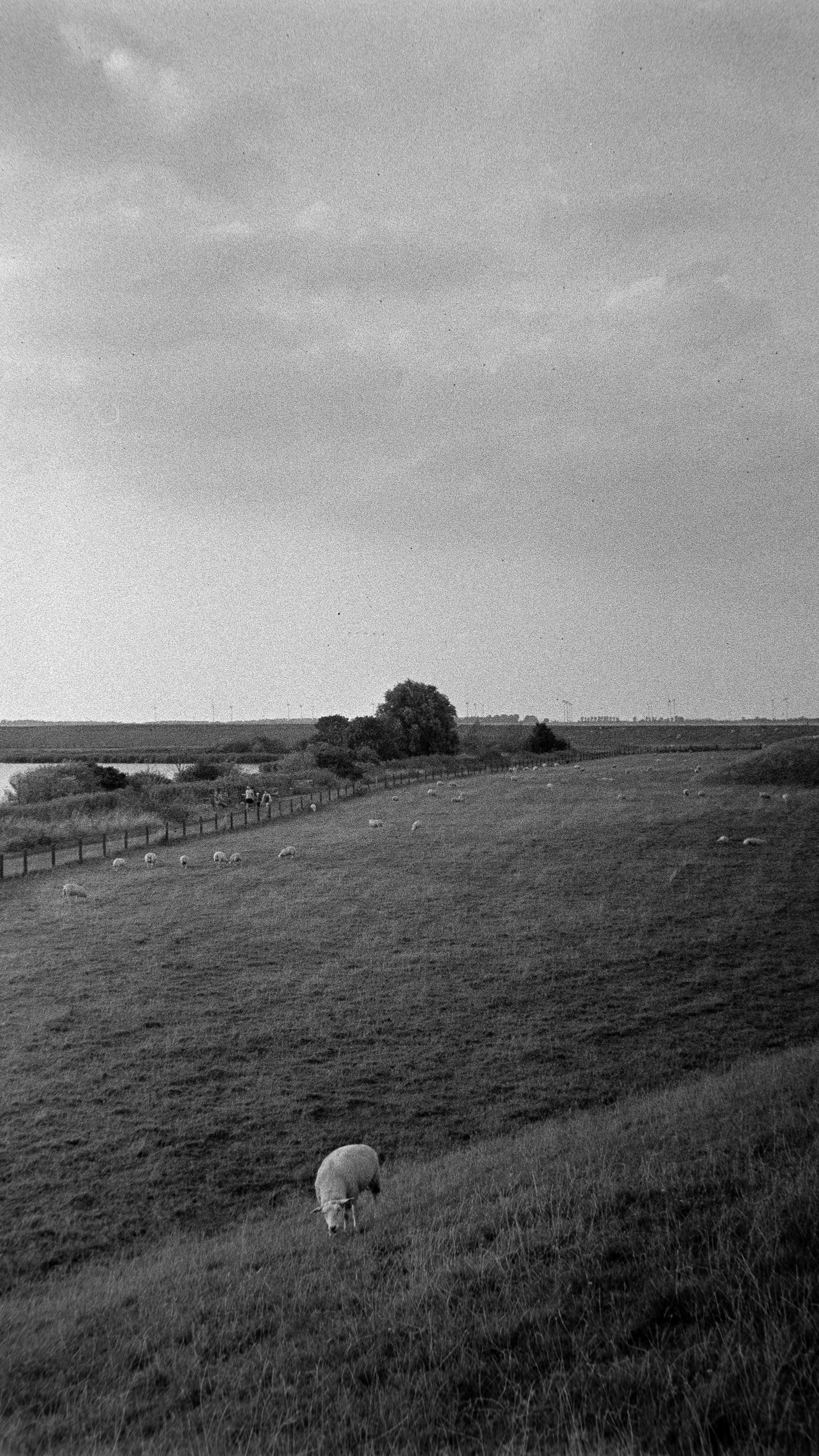 Ilford HP5+ @1600 35mm