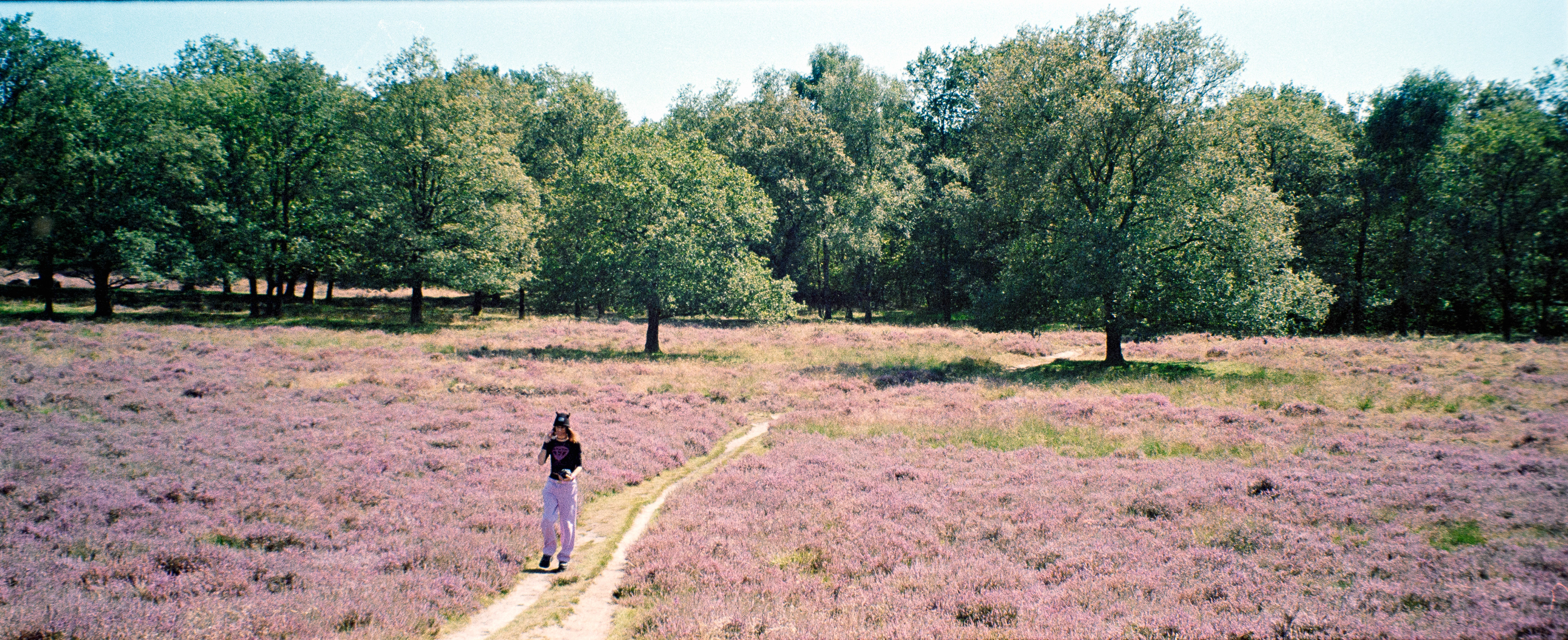Kodak Gold 200 @200 35mm