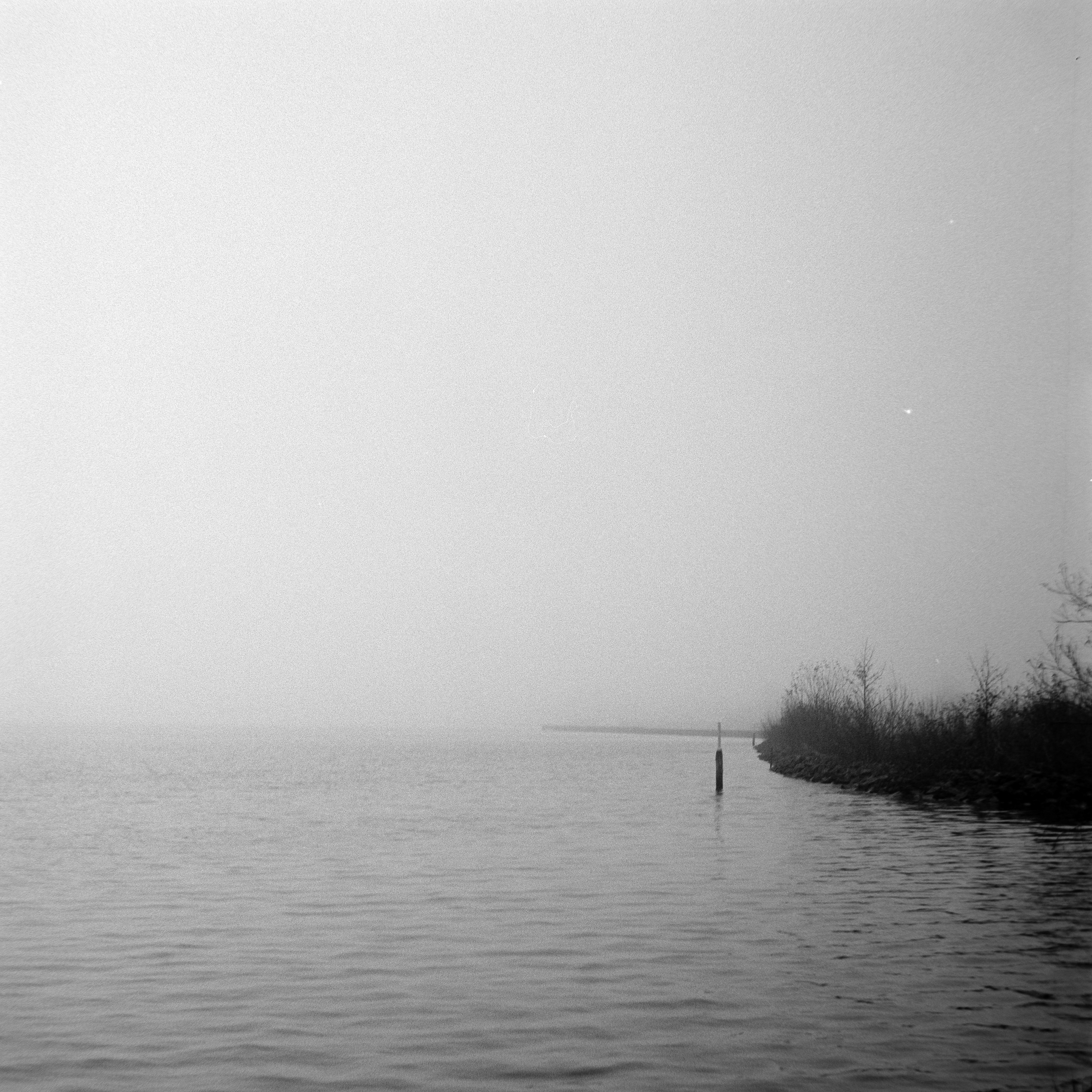 Ilford HP5+ @1600 120