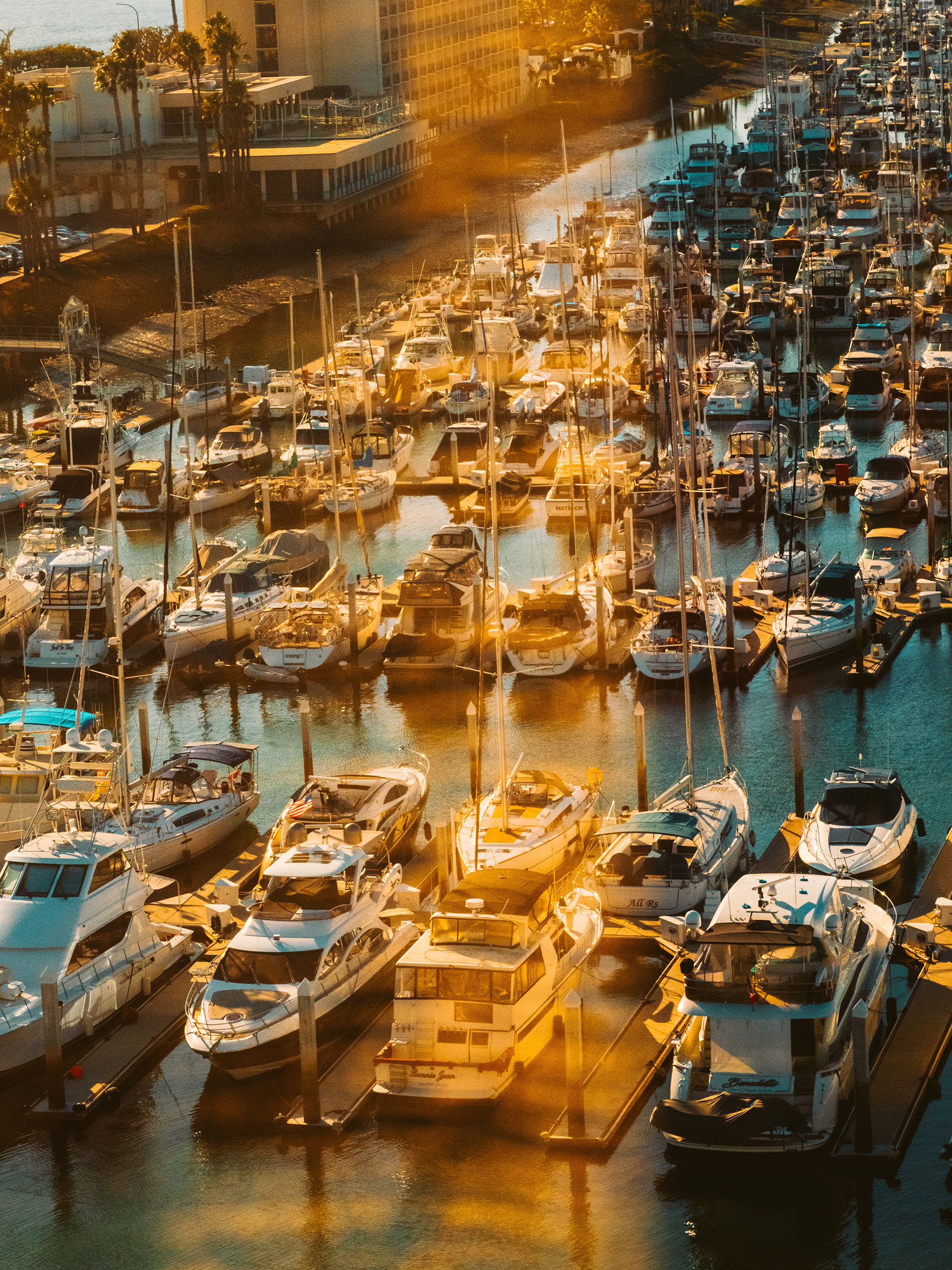 November 2024 - Yachts out on the water during sunset in San Diego, California. Photo: Savannah Lee Rowley