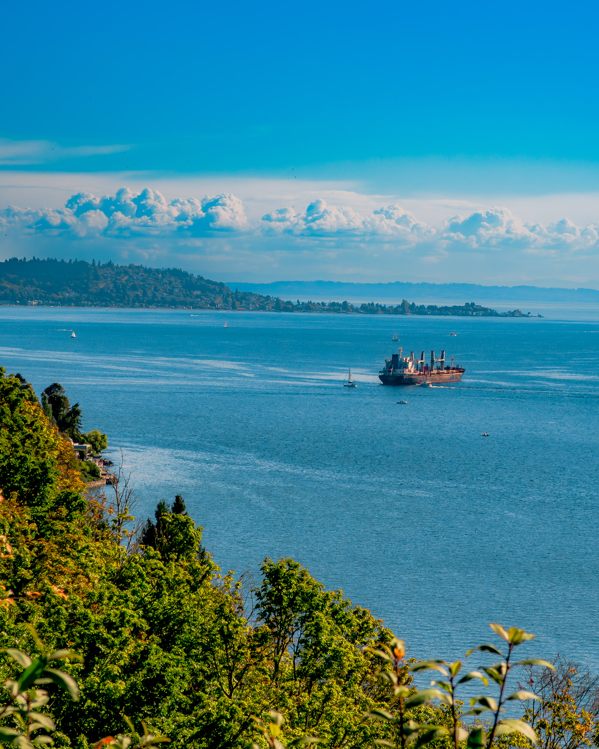 September 2026 - Beautiful blue skies, perfect for boat viewing and wave watching at Discovery Park in Seattle, Washington.