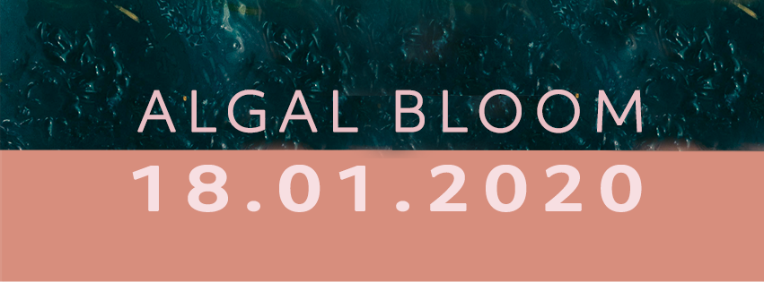 Promotional Teaser for Facebook Cover
