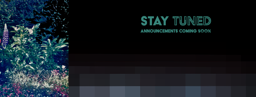 Teaser Image for Facebook Cover Photo