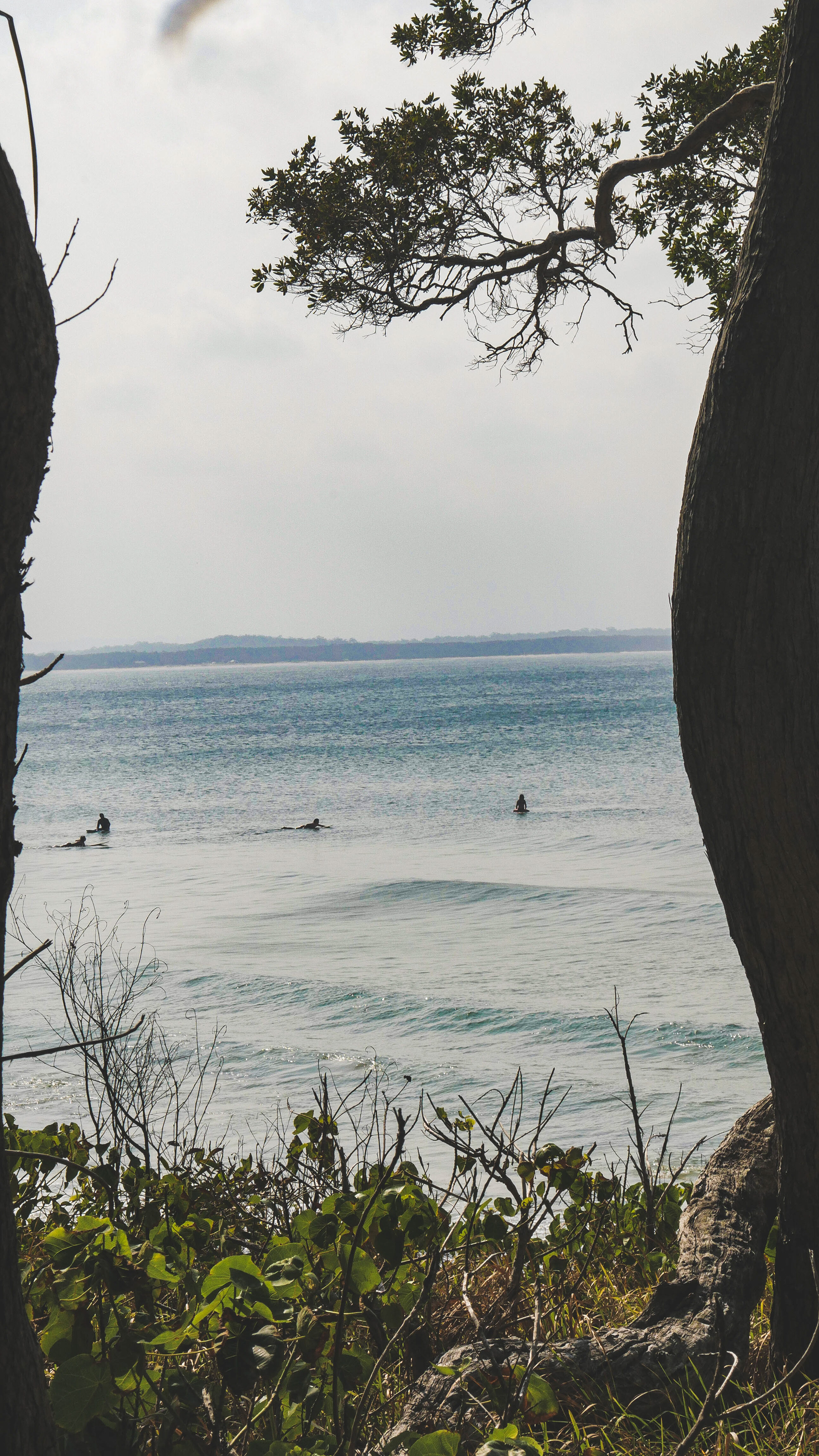 Little Cove