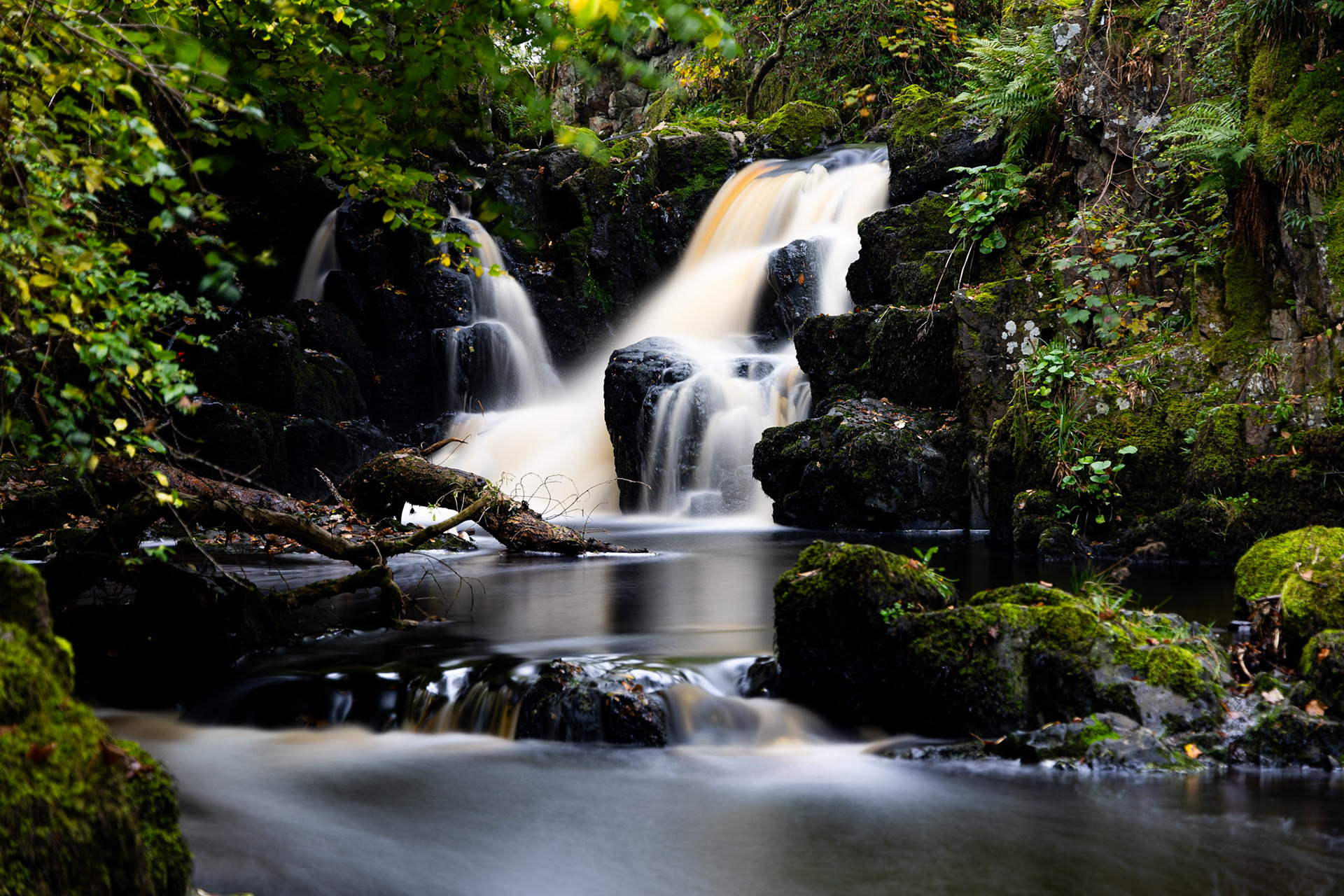 Linn Jaw, Livingston, West Lothian