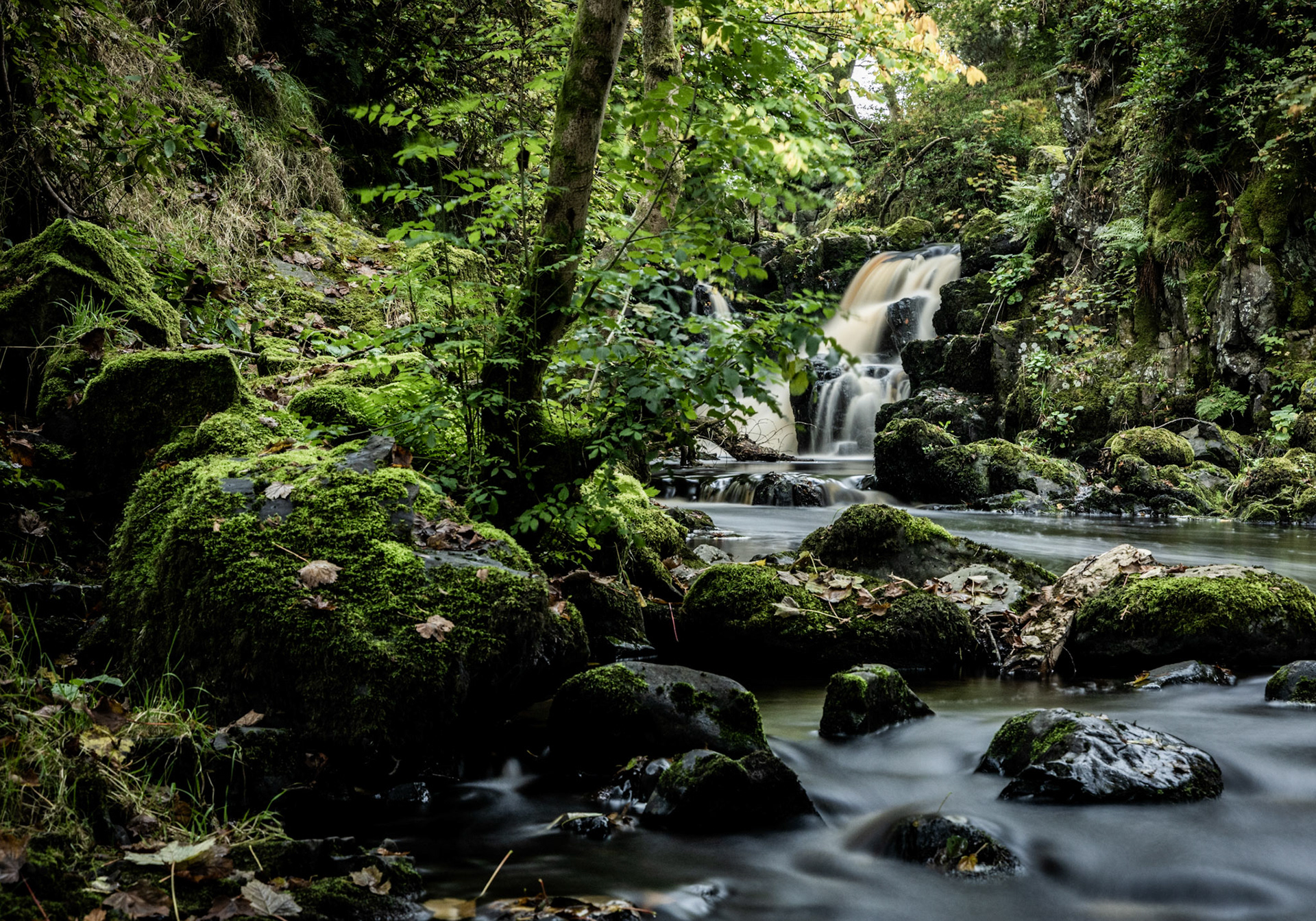 Linn Jaw, Livingston, West Lothian
