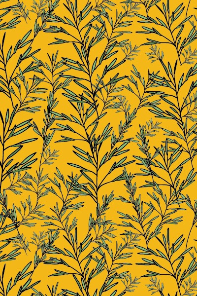Aspen Field in the Aspenglow Collection