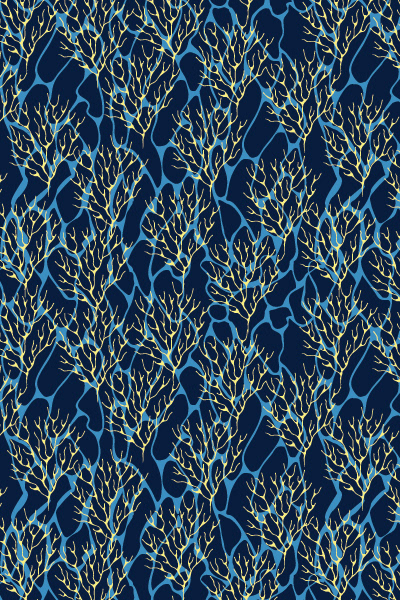 Coral Gardens in the Colony Club Collection
