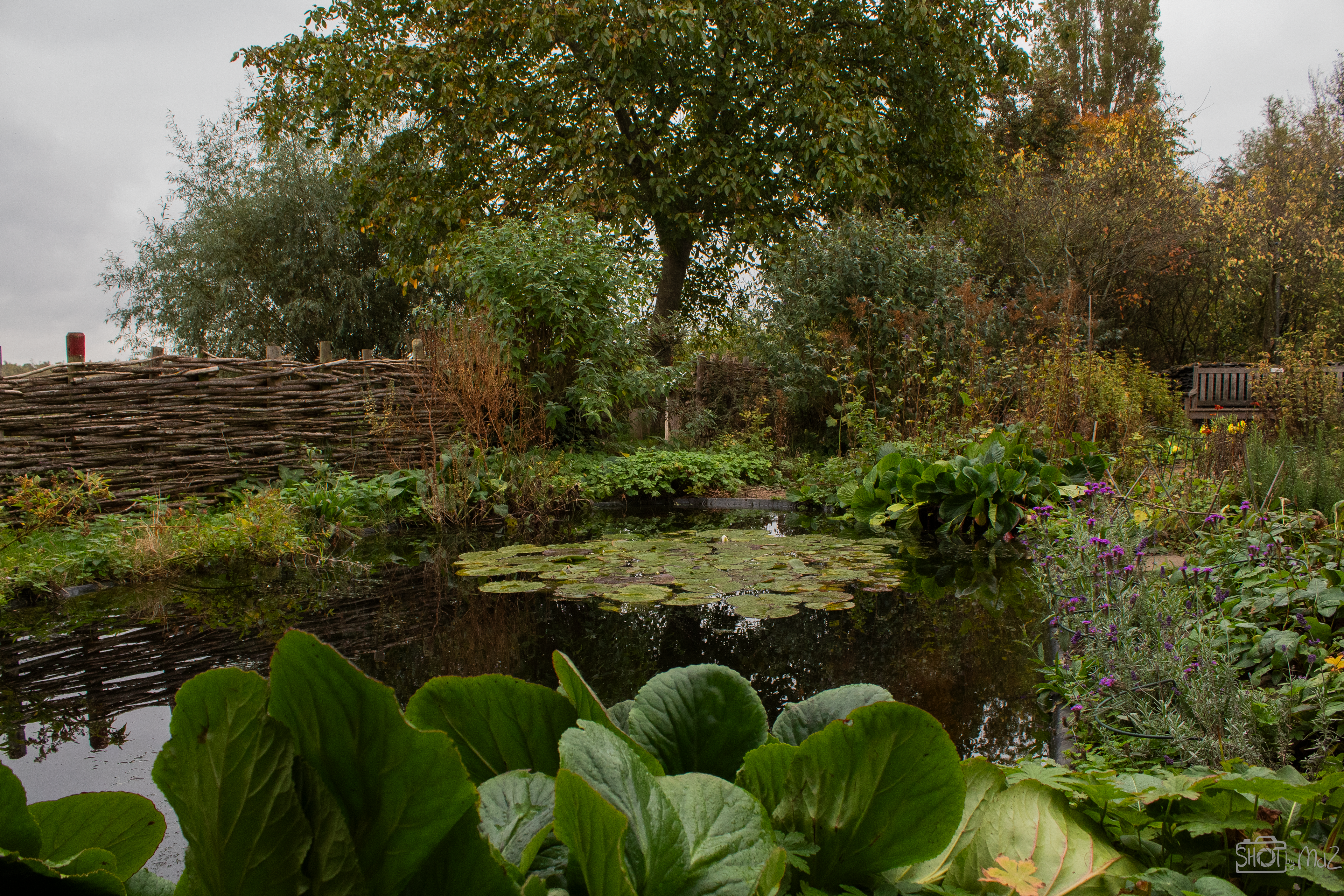 2025 - Oktober - Klein Profijt