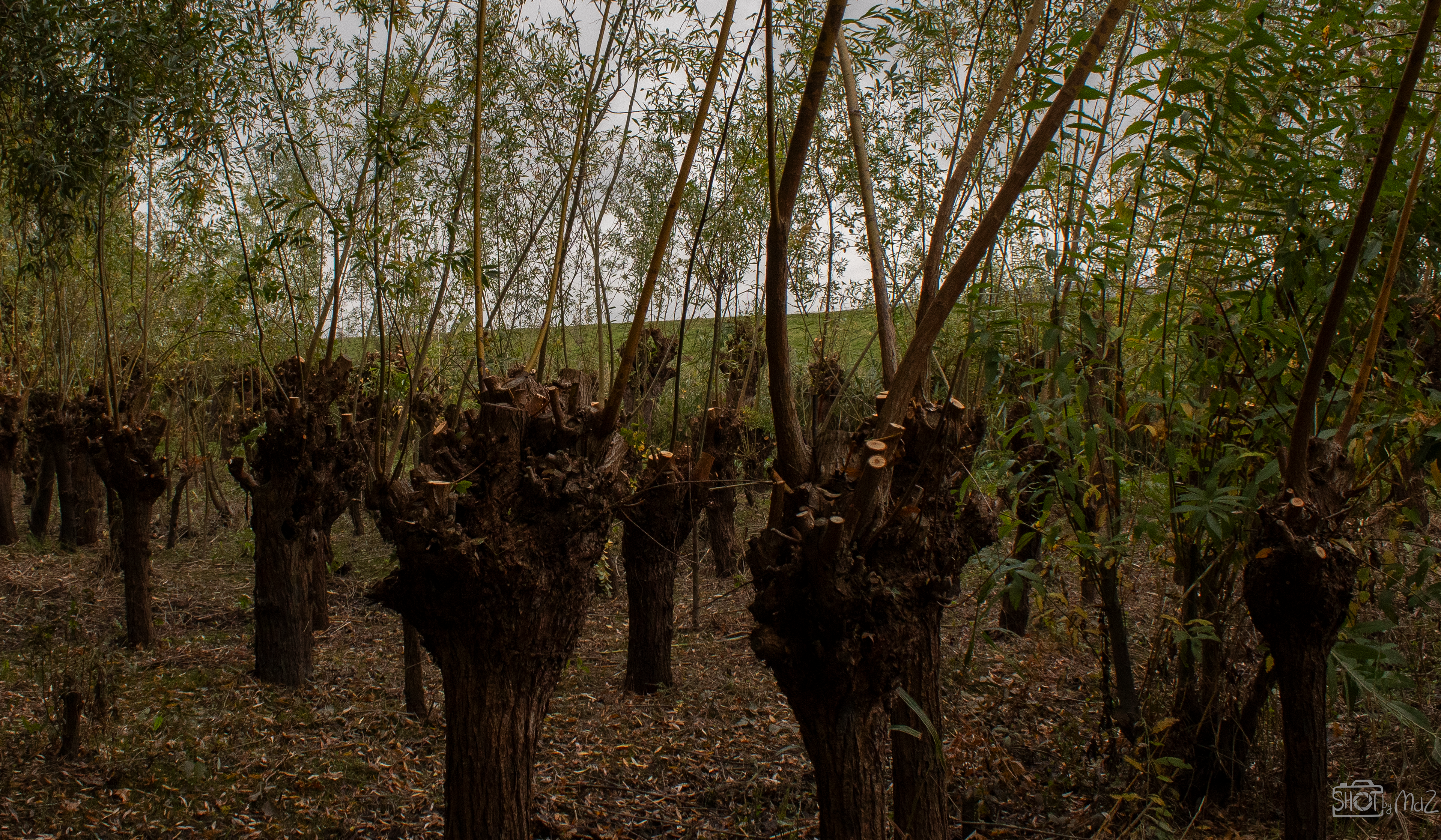 2025 - Oktober - Klein Profijt