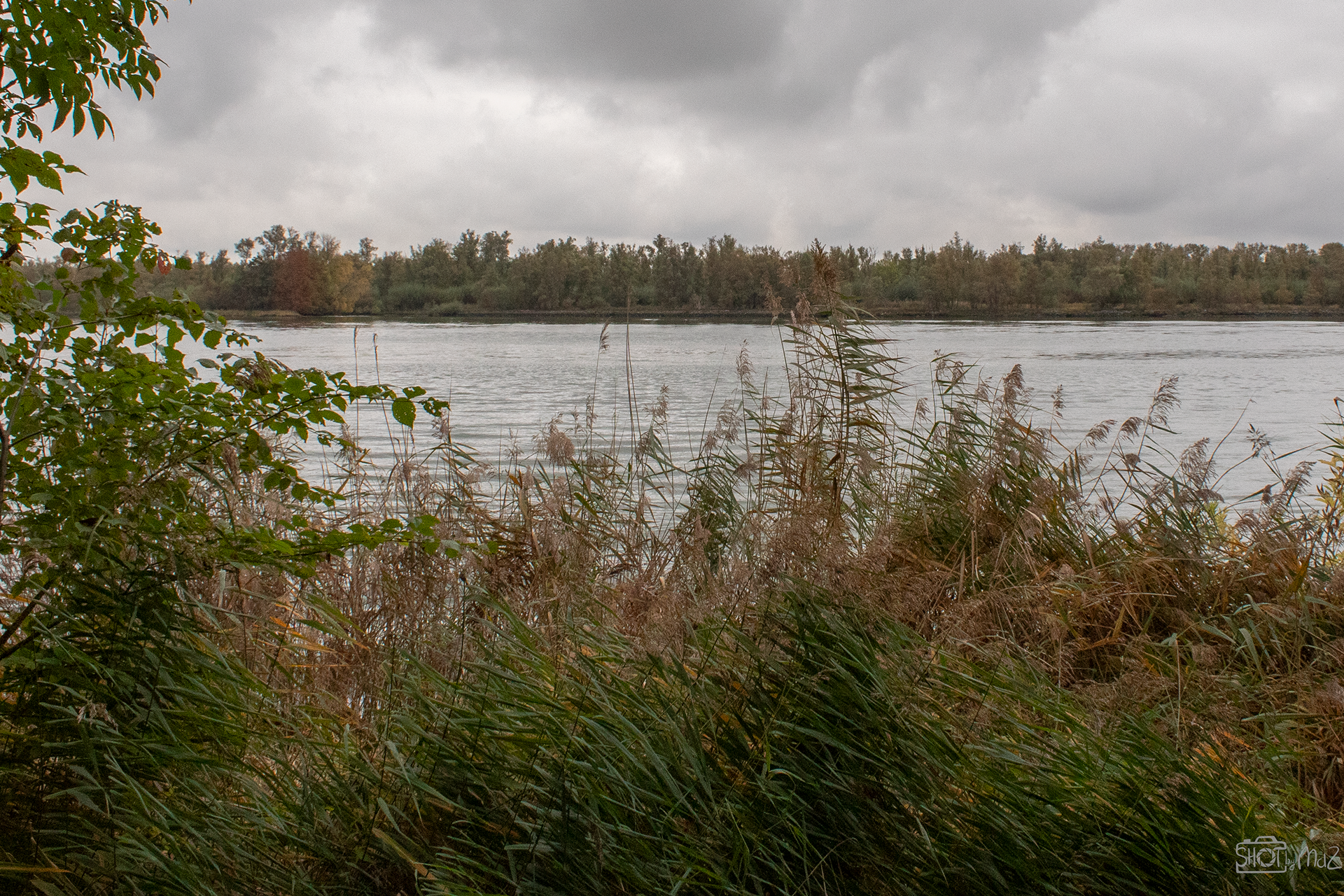 2025 - Oktober - Klein Profijt