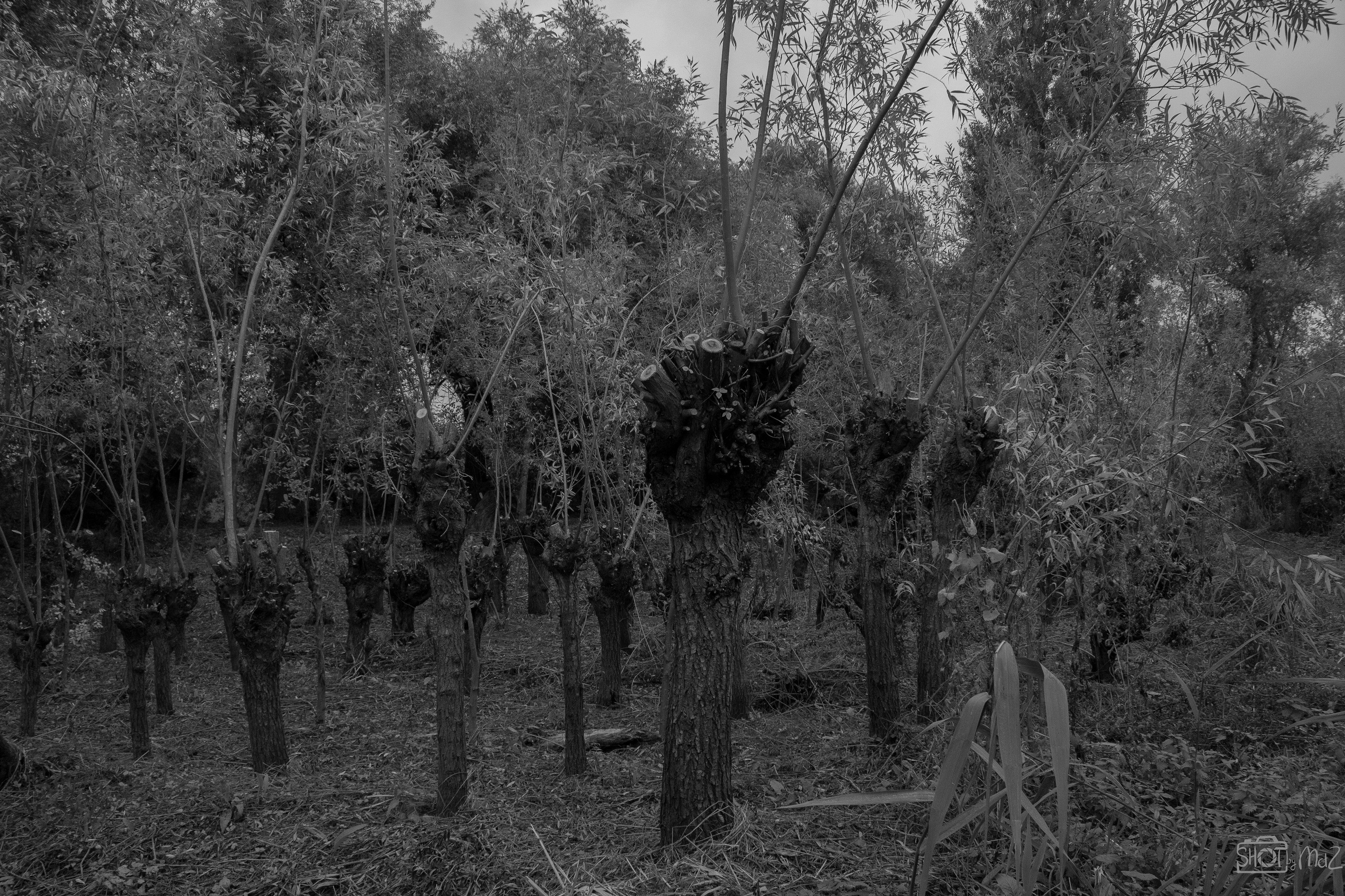 2025 - Oktober - Klein Profijt