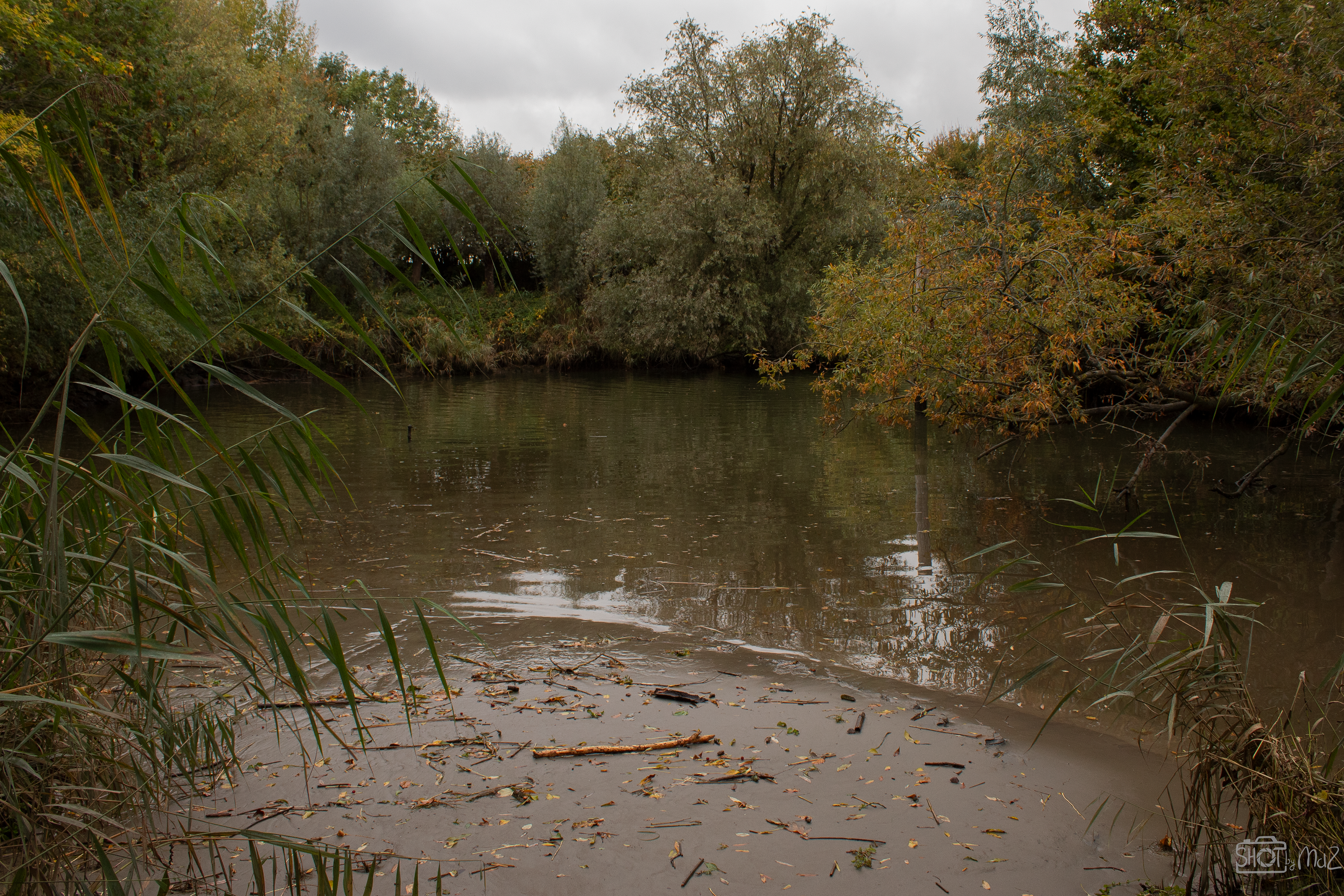 2025 - Oktober - Klein Profijt