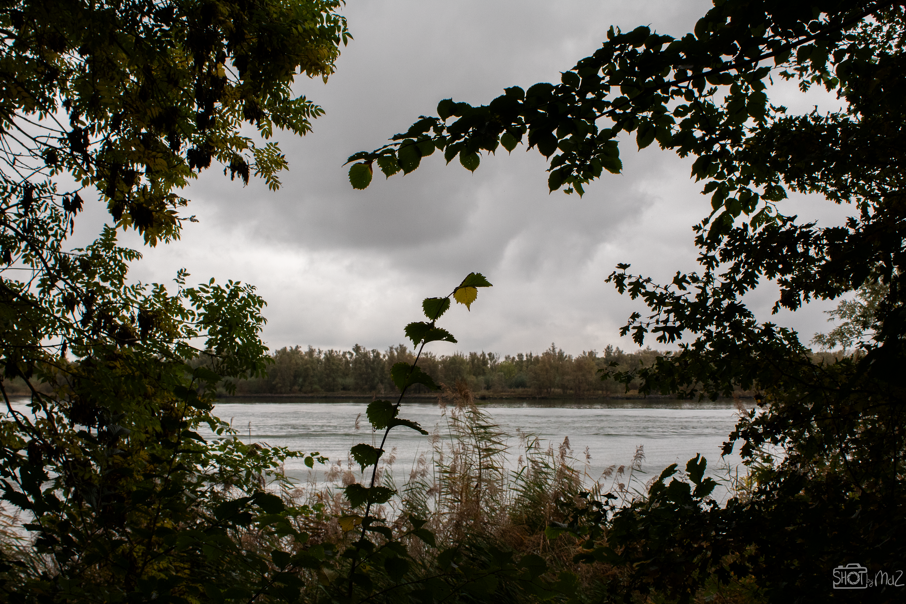 2025 - Oktober - Klein Profijt