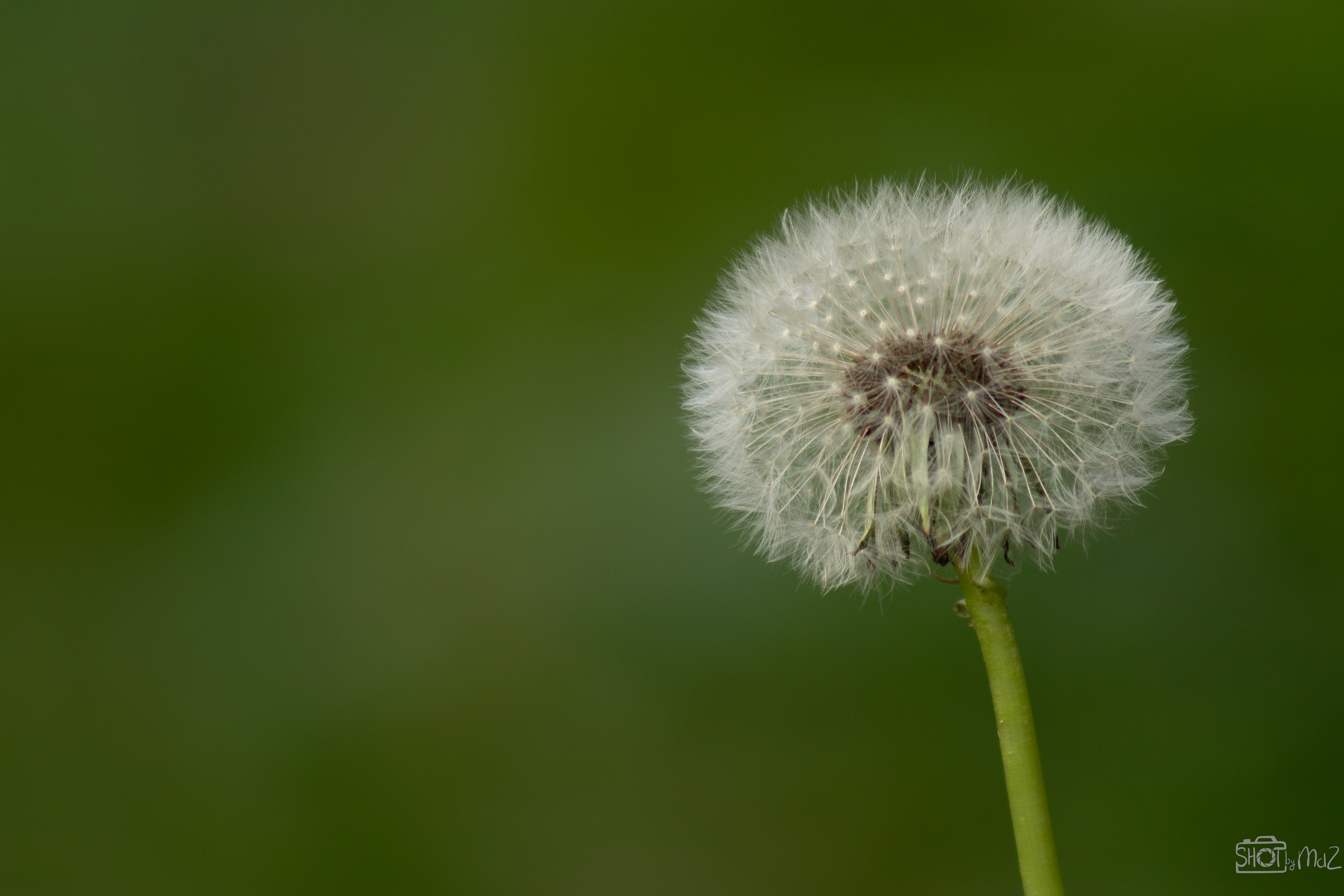 2025 - Oktober - Schollebos