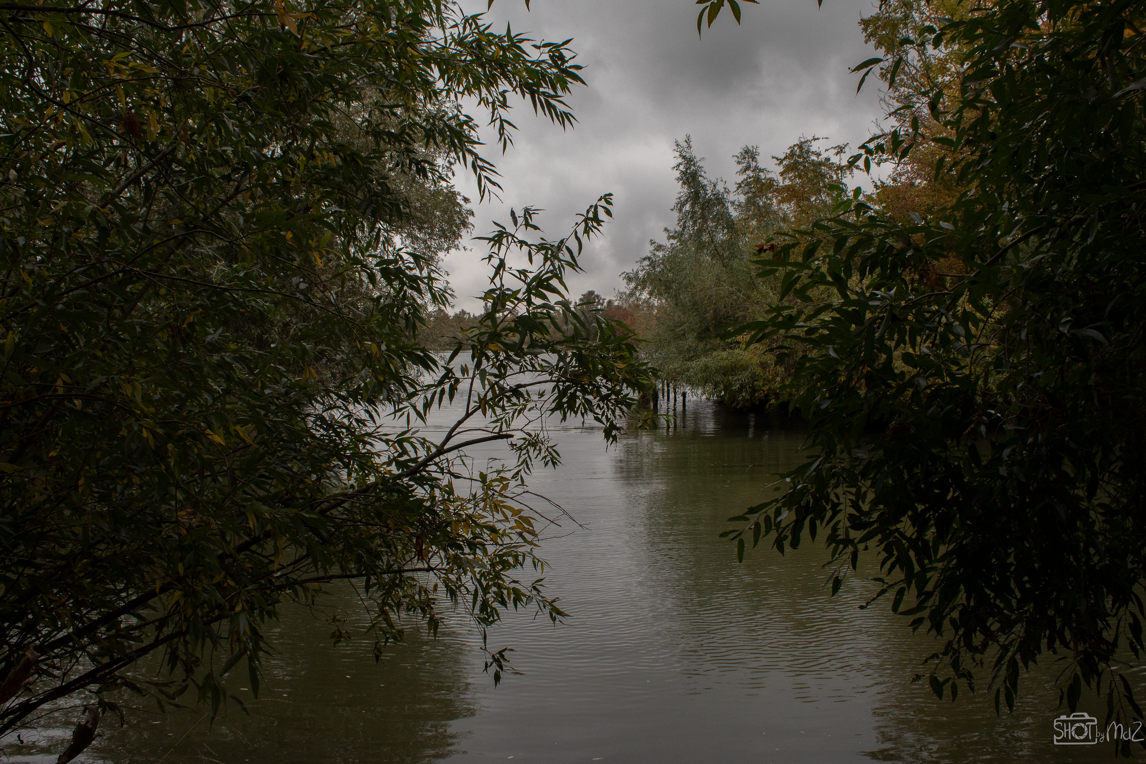 2025 - Oktober - Klein Profijt