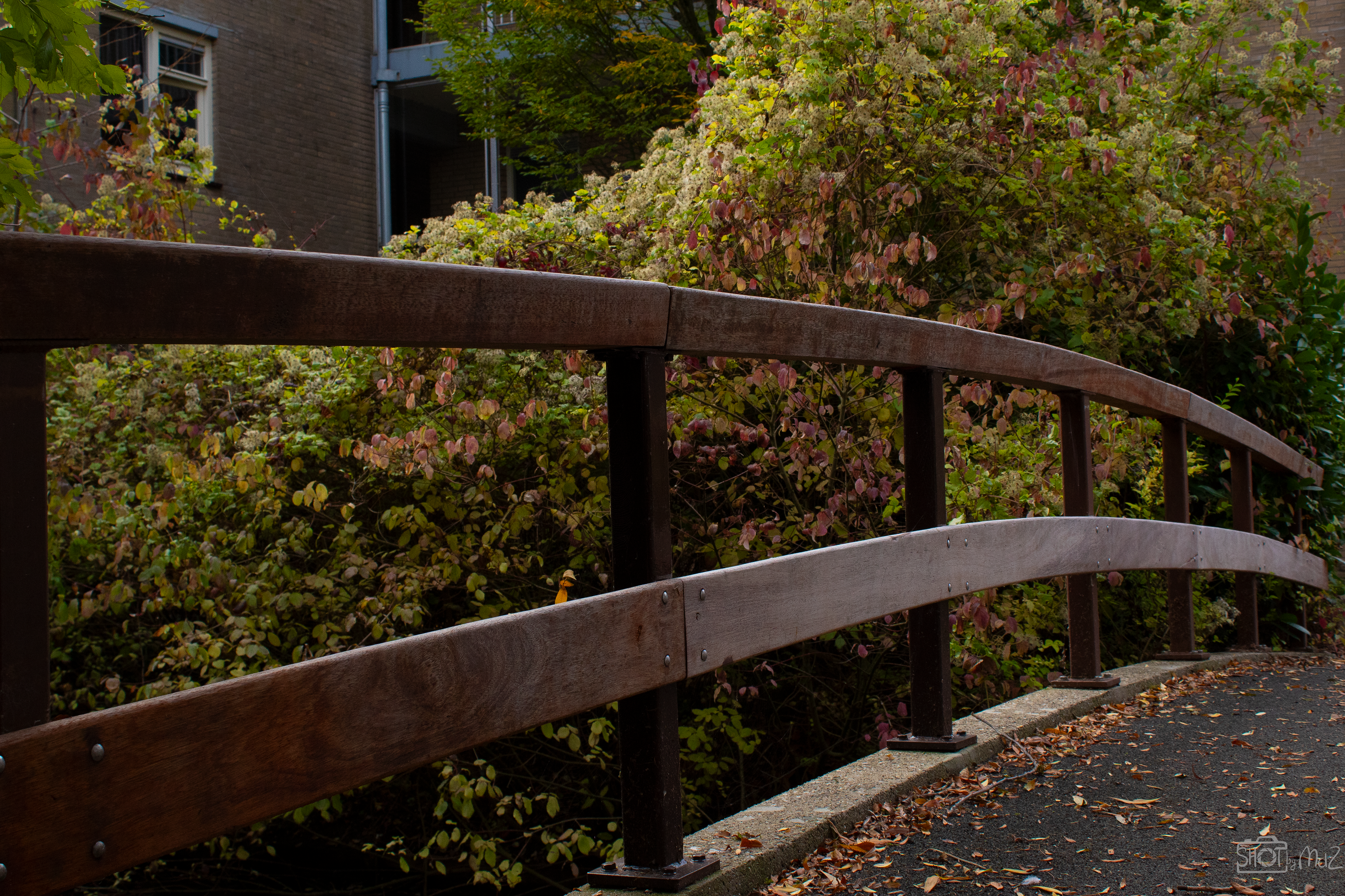 2025 - Oktober - Capelle aan den IJssel