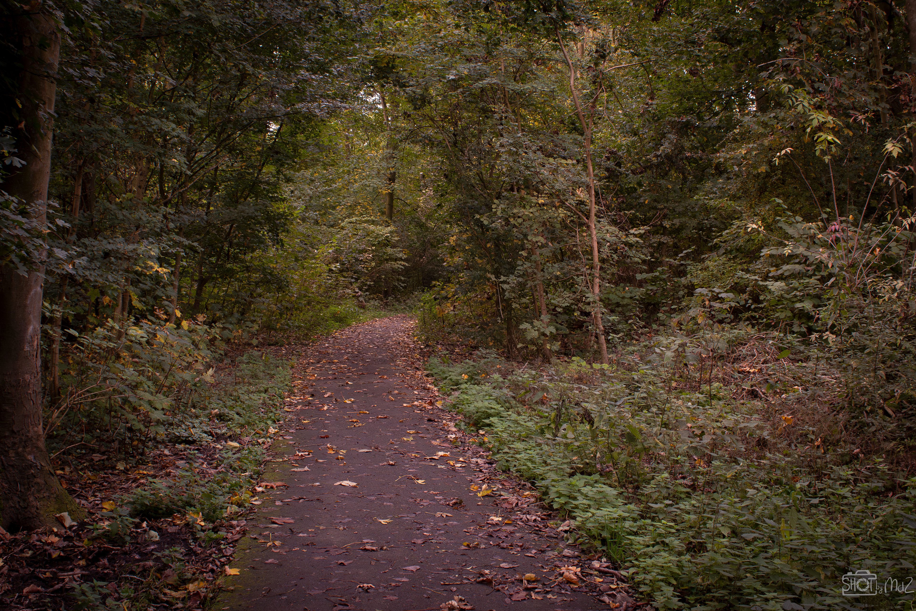 2025 - Oktober - Schollebos