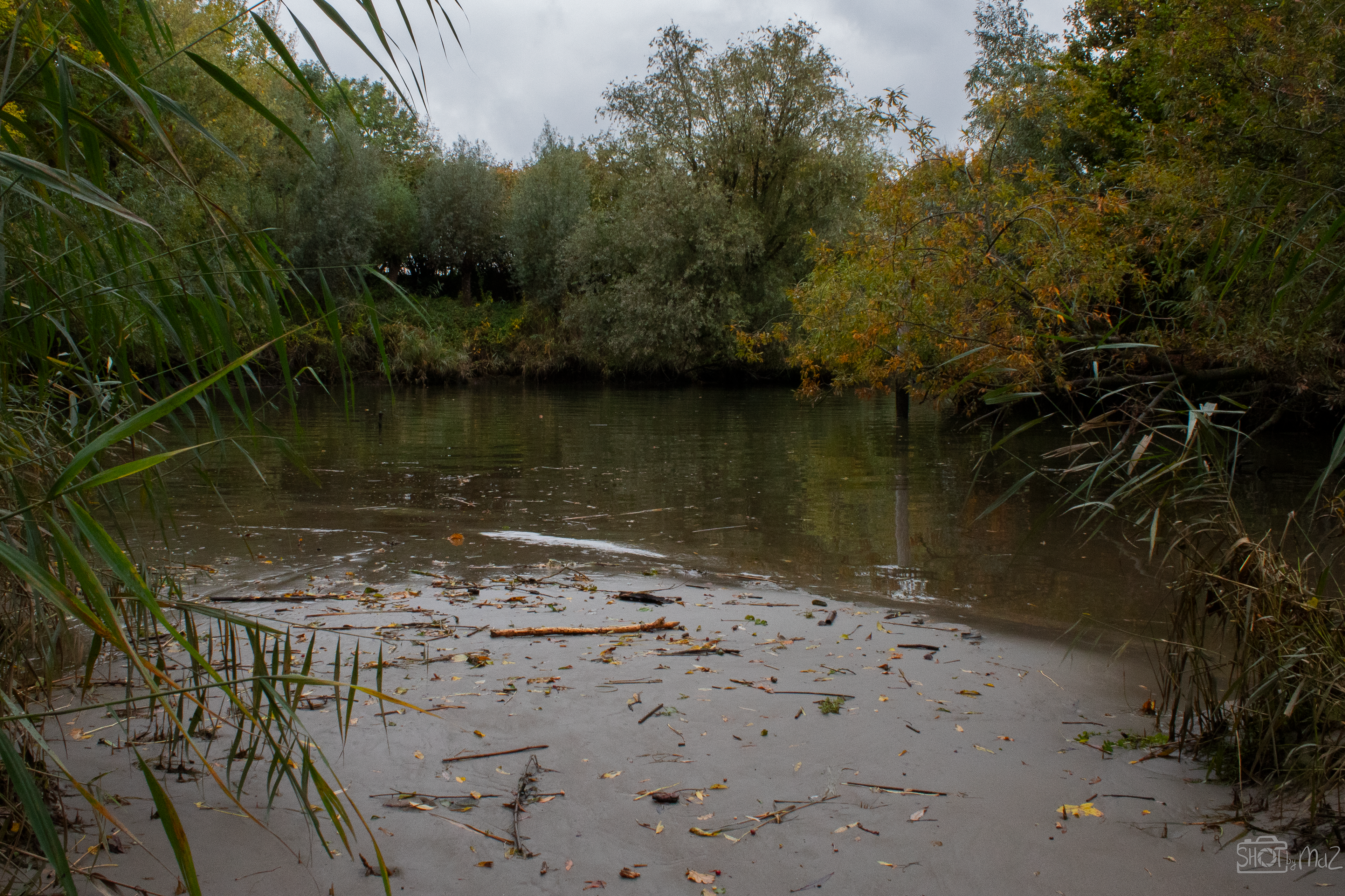 2025 - Oktober - Klein Profijt