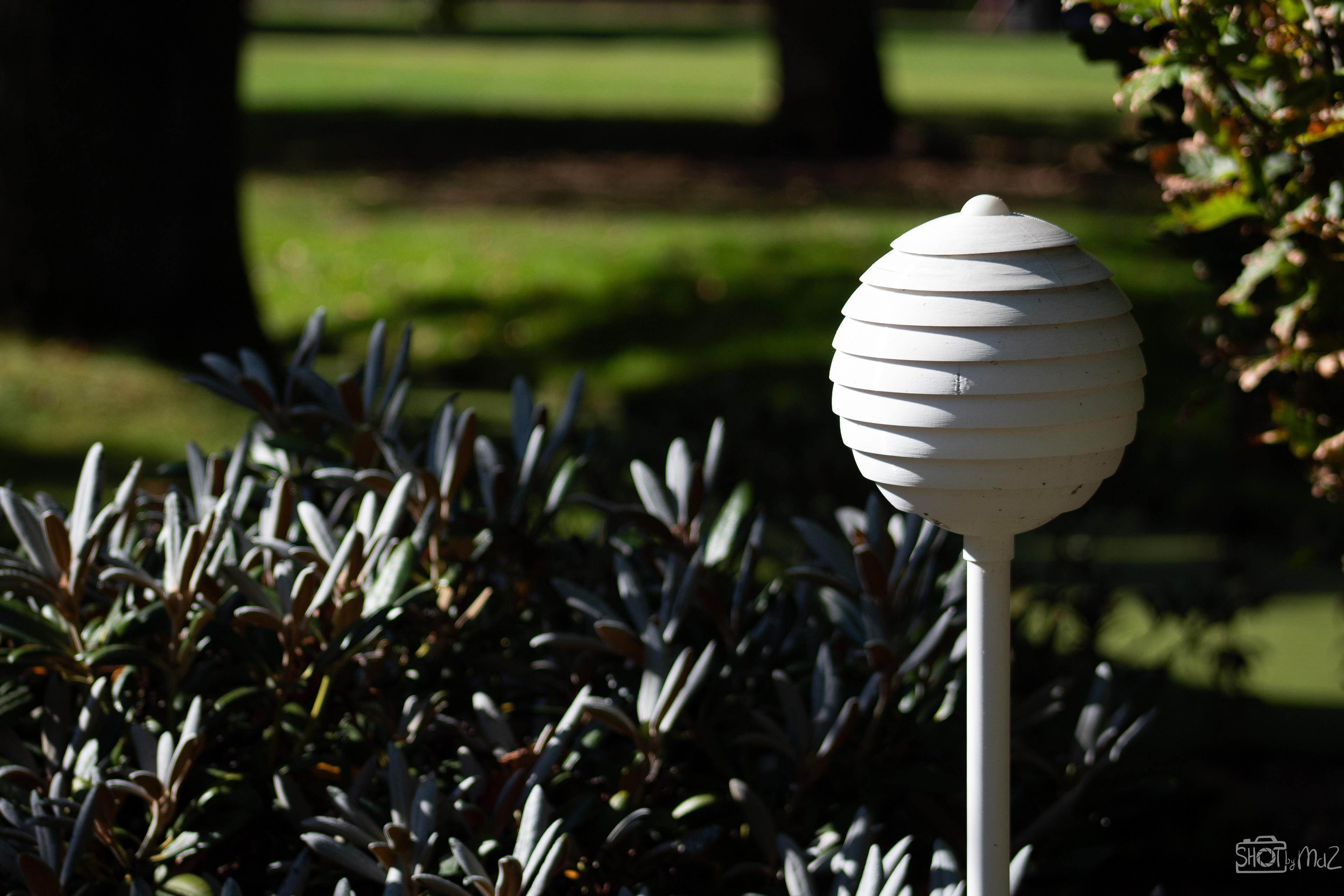 2025 - September - Trompenburg botanische tuin