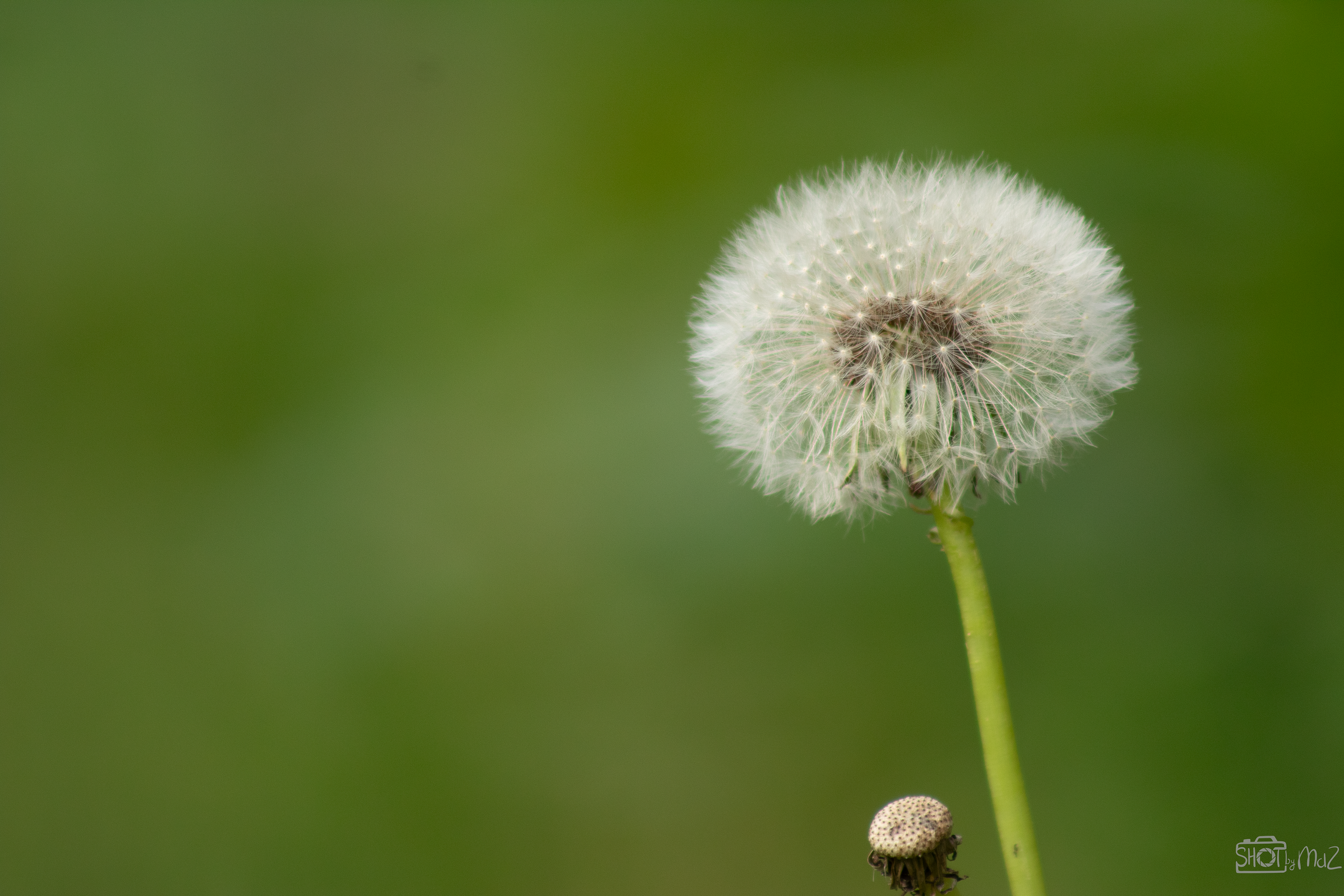 2025 - Oktober - Schollebos