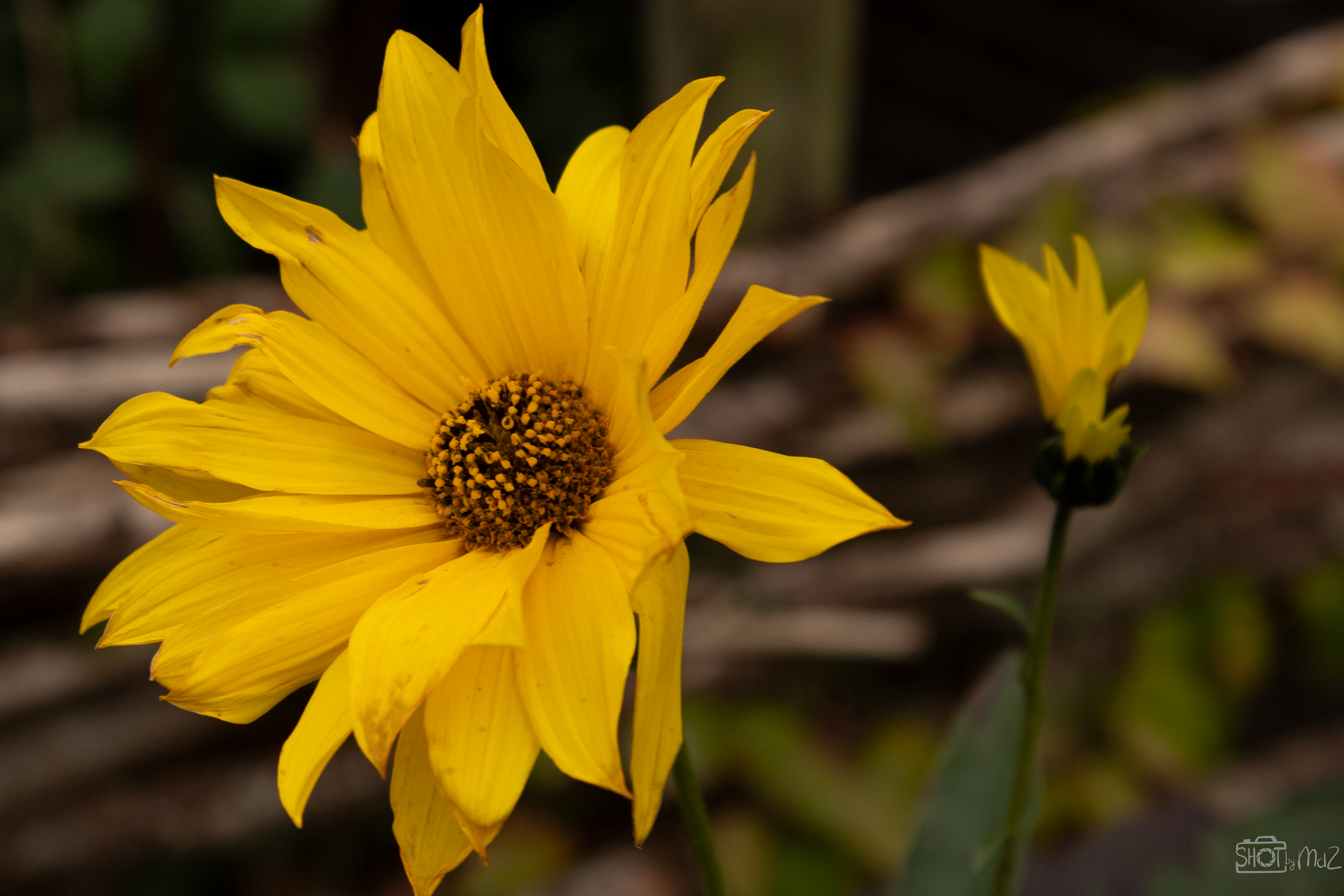 2025 - Oktober - Klein Profijt