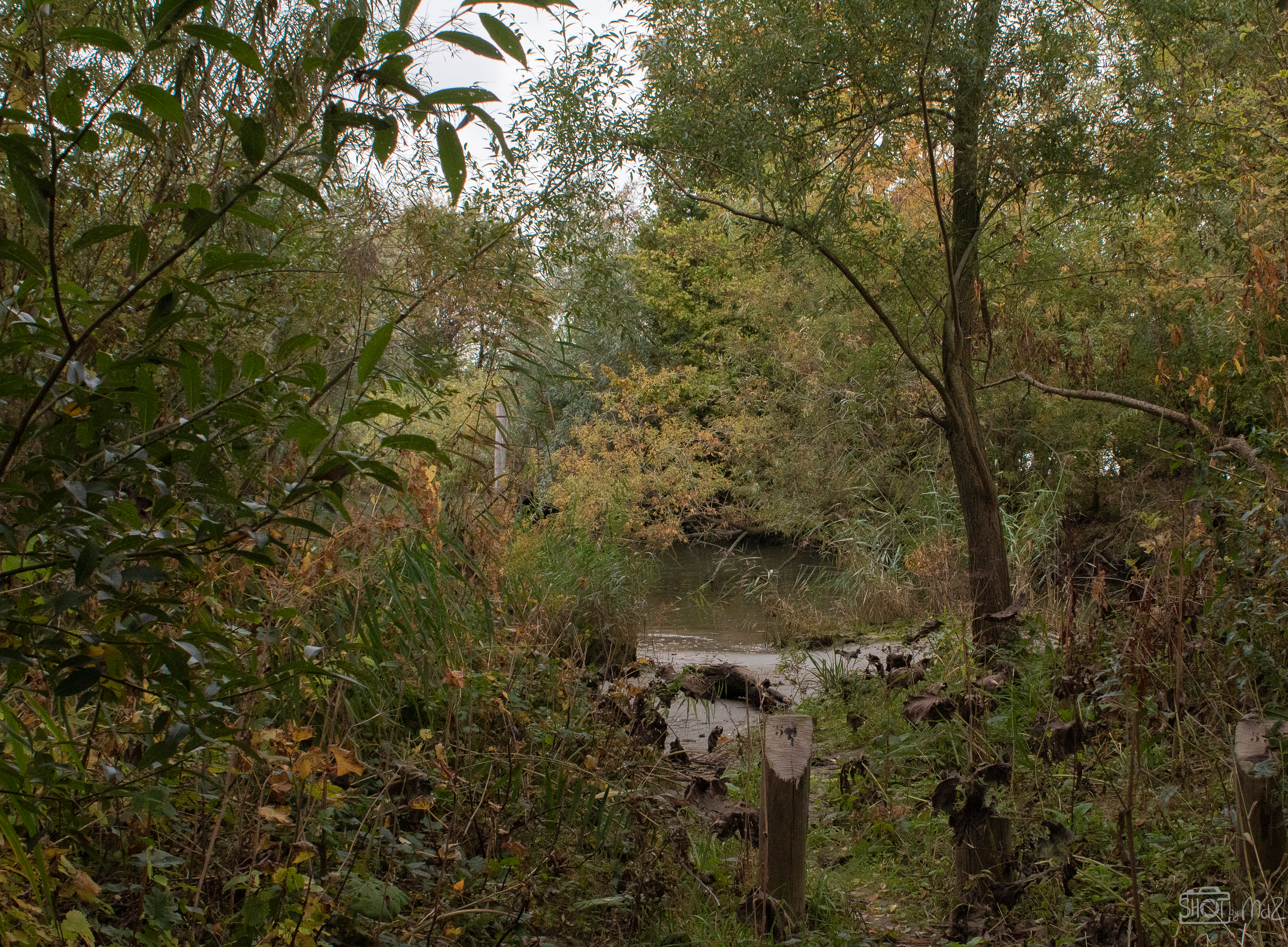 2025 - Oktober - Klein Profijt