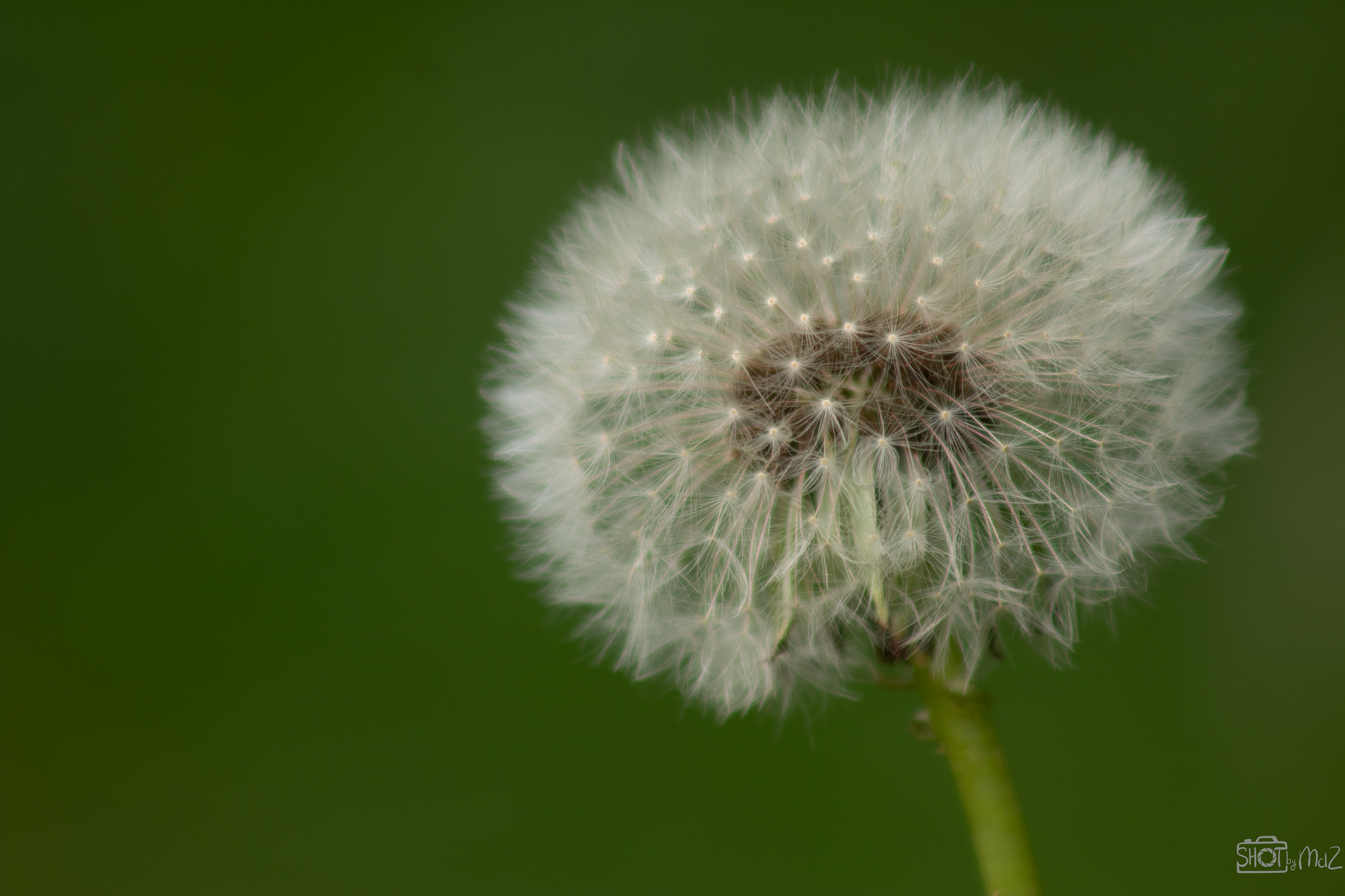 2025 - Oktober - Schollebos