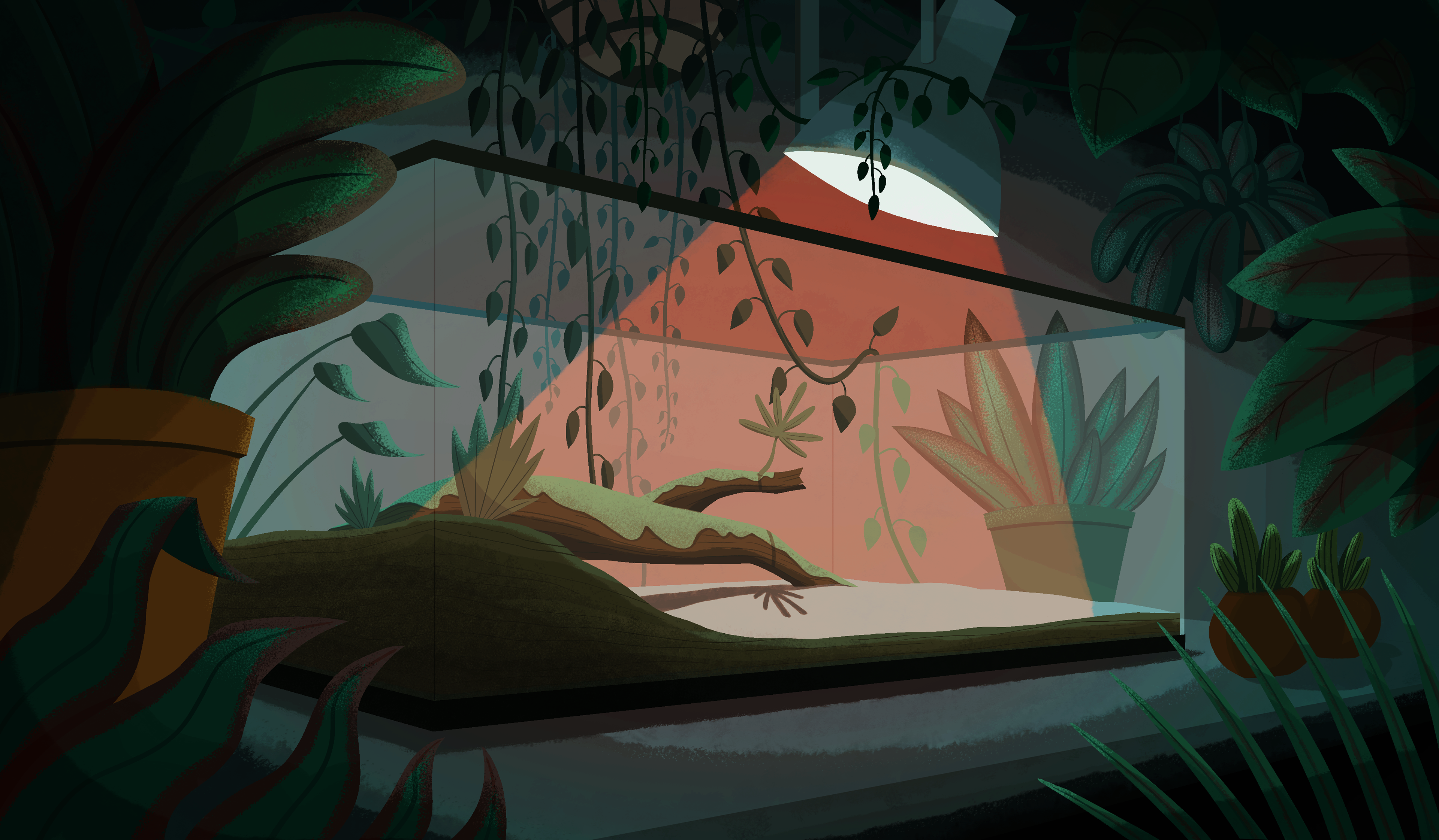 background design & painting, Adobe Photoshop