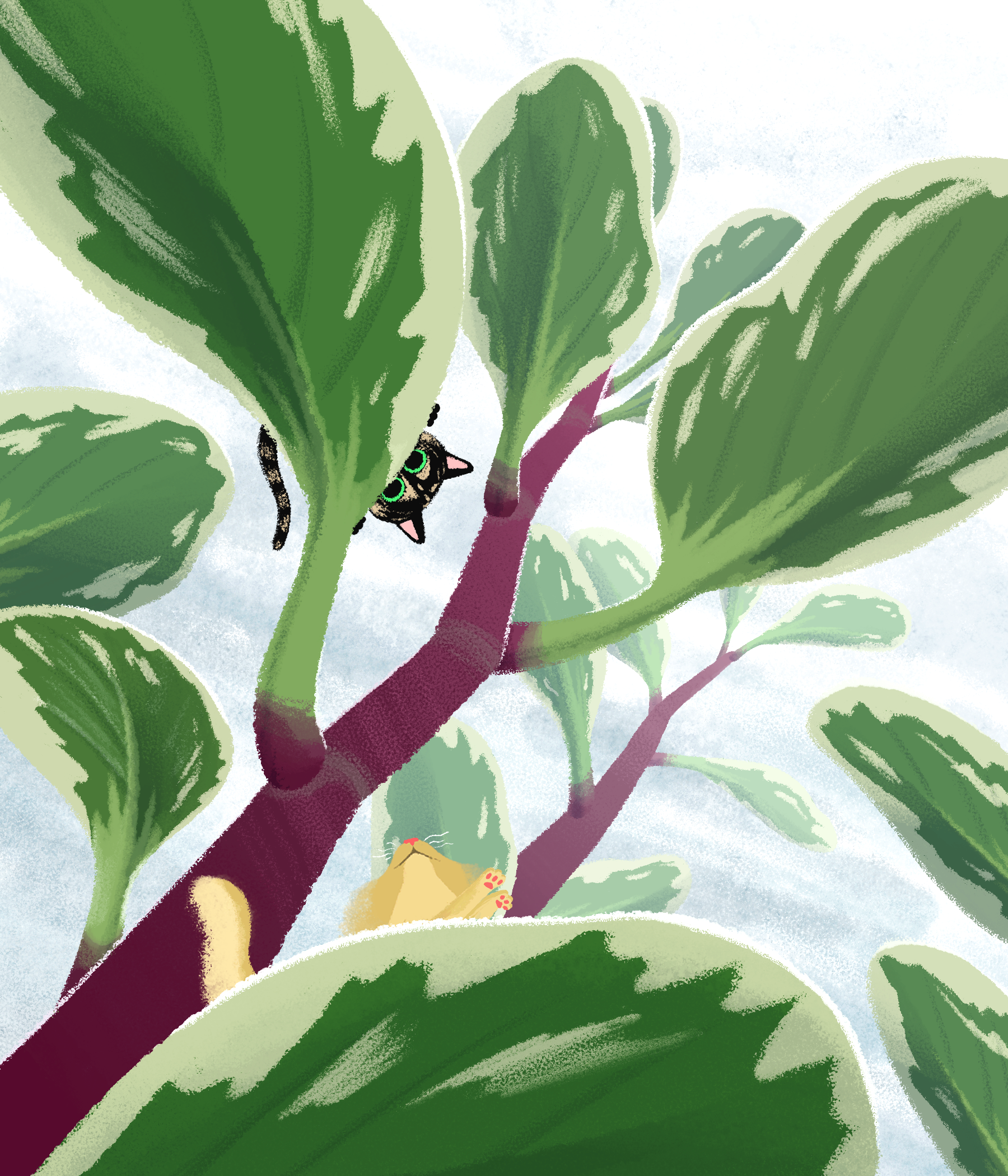 "Peperomia Forest" illustration, personal