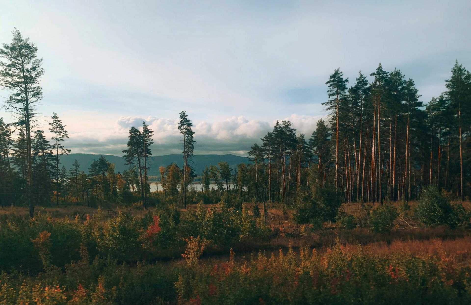 Samara, 2020 | iPhone XR