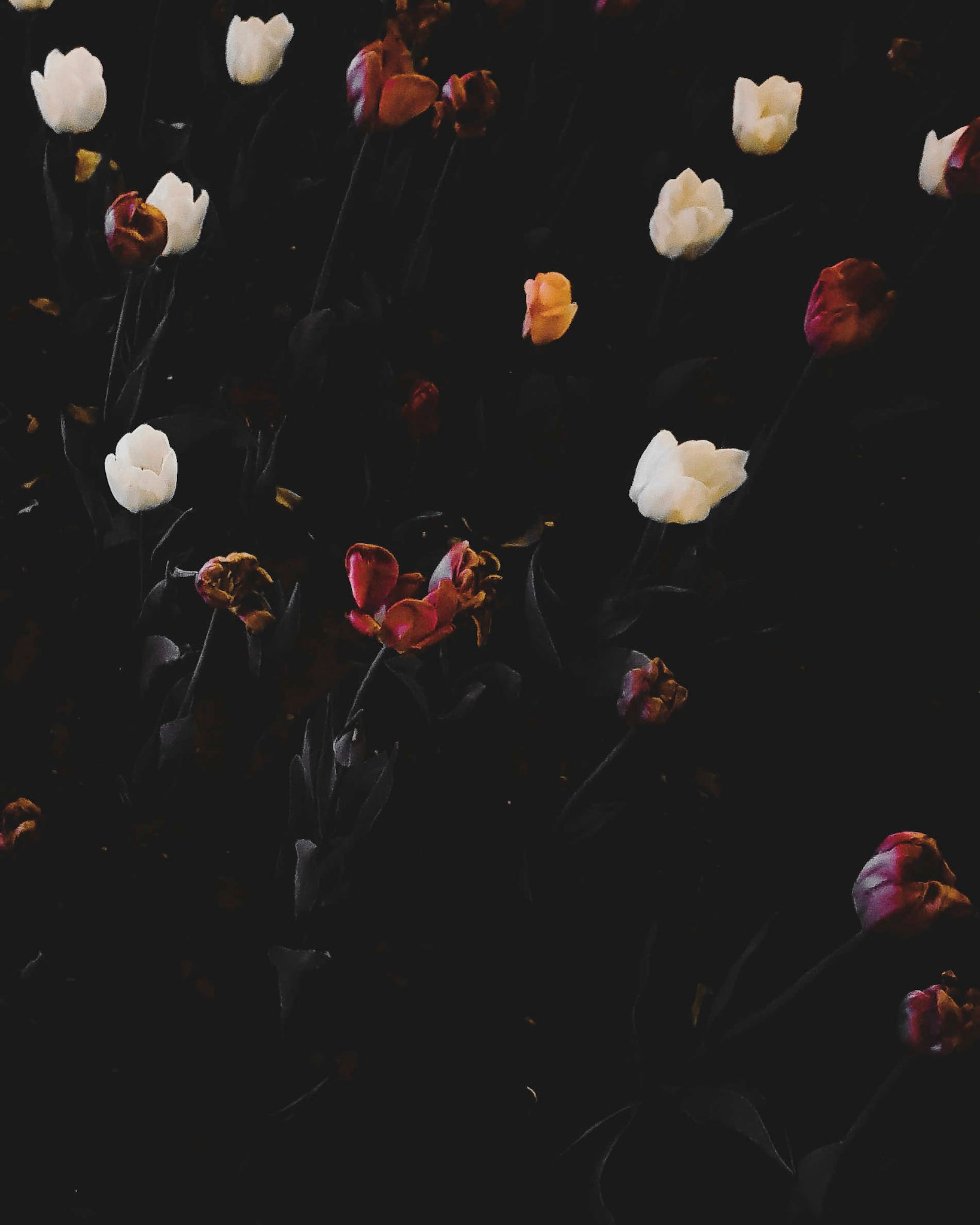 Moscow, 2018 | Samsung Galaxy Note8