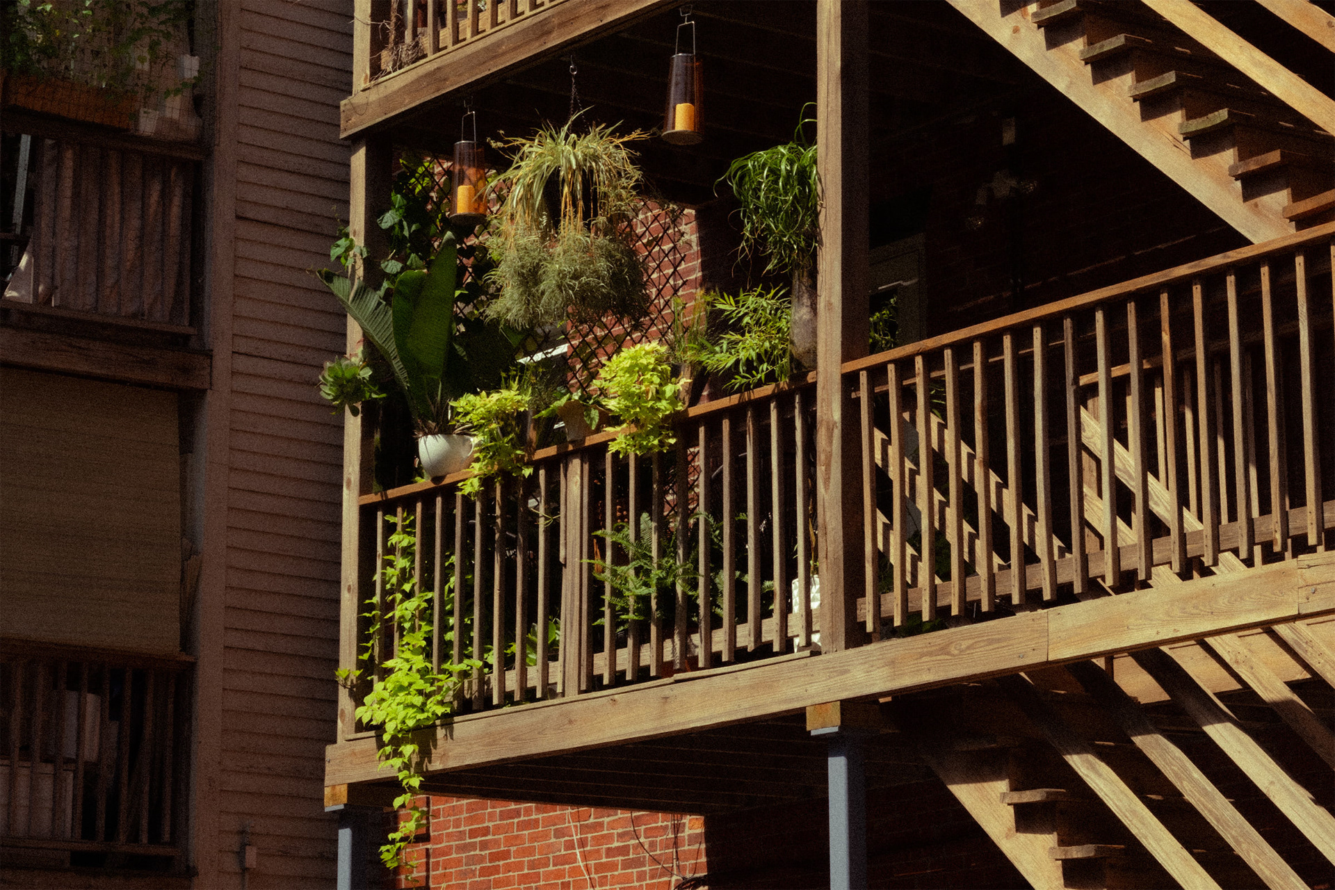 Boston, 2024 | Nikon Z5 + Nikkor Z 24-70 F/4 S