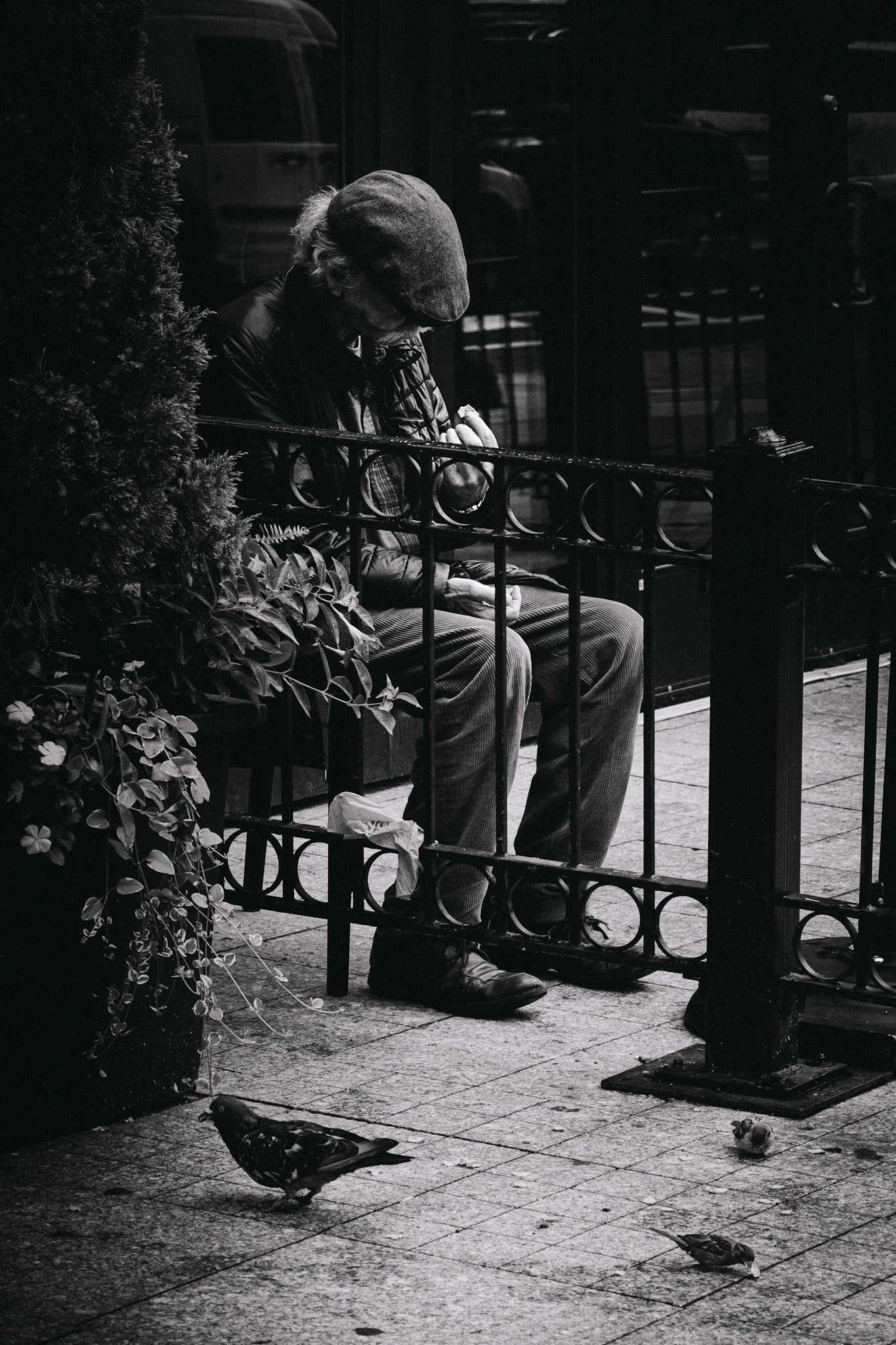 Boston, 2024 | Nikon Z5 + Nikkor Z 24-70mm F/4 S