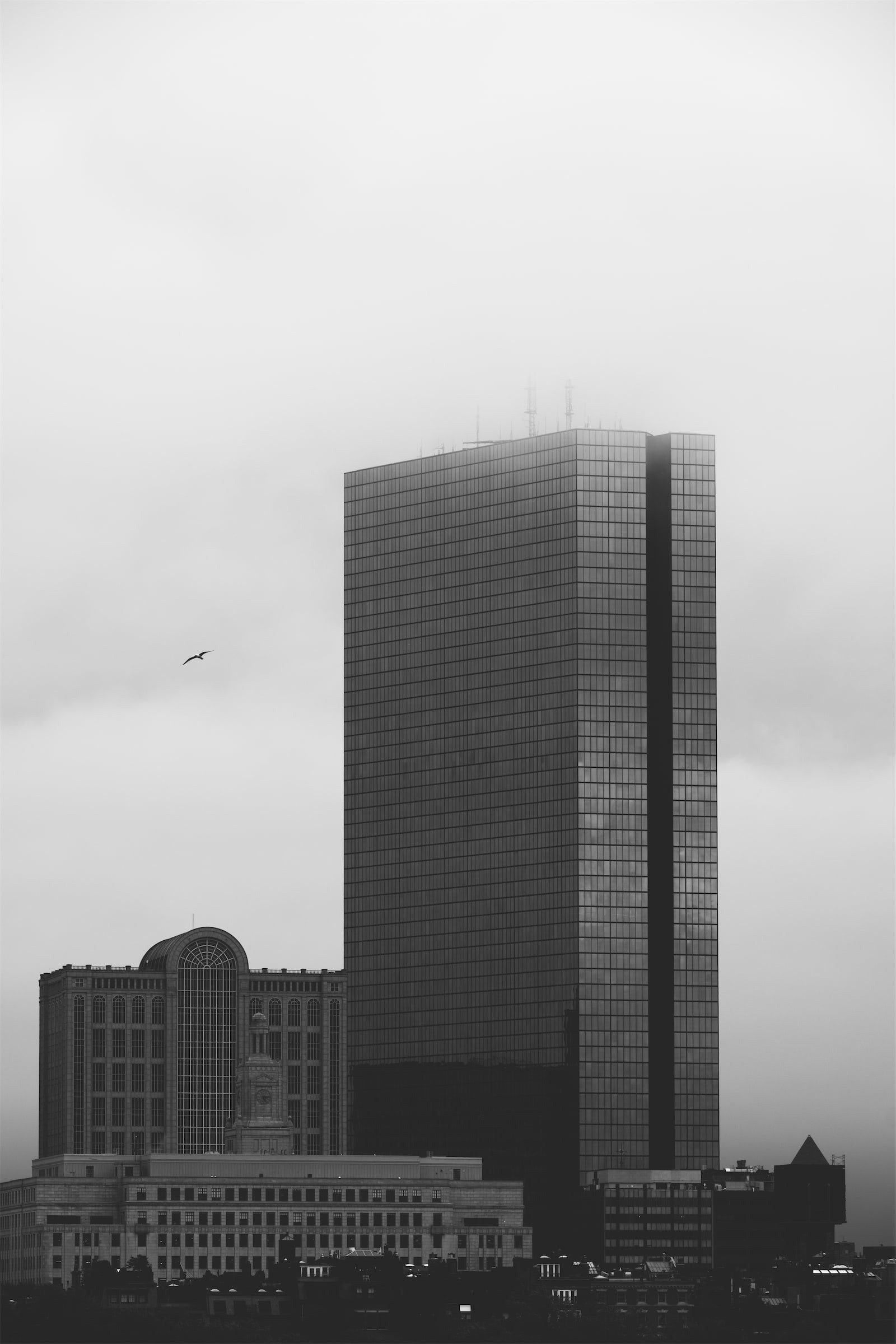 Boston, 2025 | Nikon Z fc + Nikkor Z 50-250 F/4.5-6.3