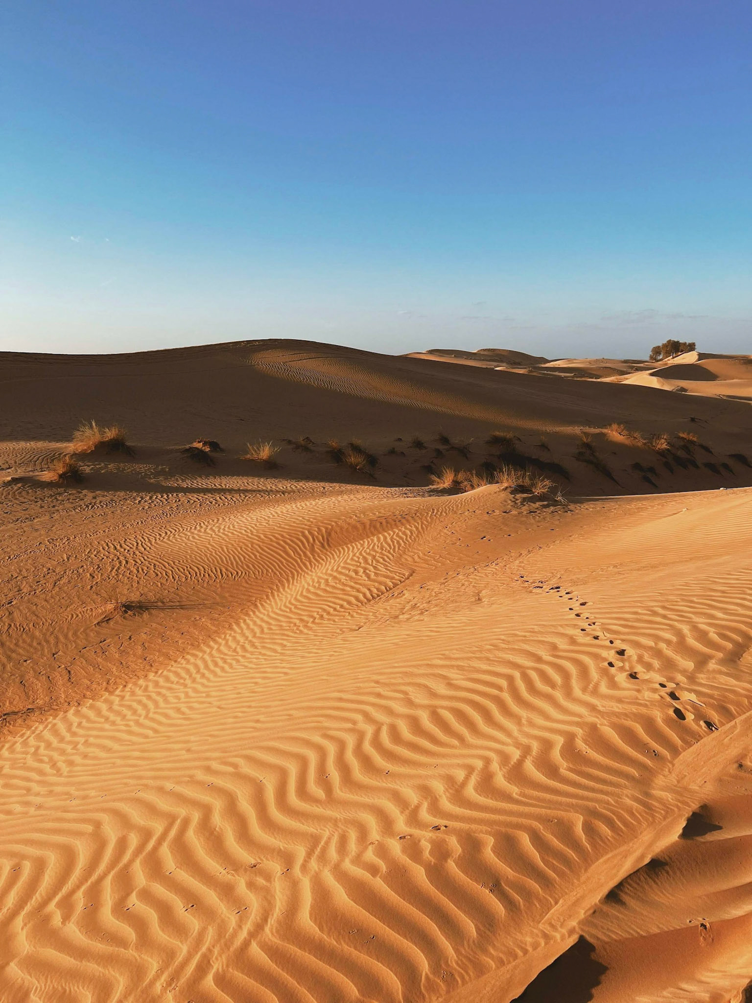 Dubai, 2022 | iPhone 13 Pro Max