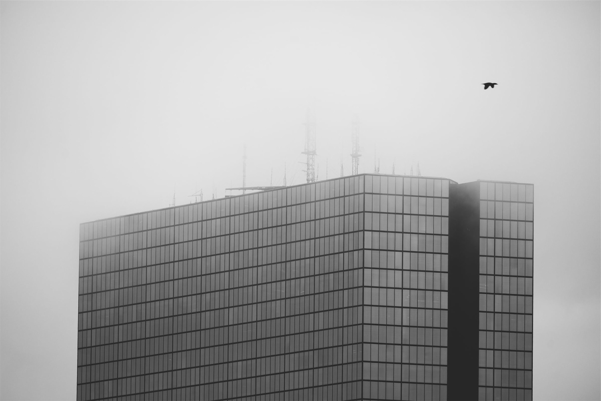 Boston, 2025 | Nikon Z fc + Nikkor Z 50-250 F/4.5-6.3