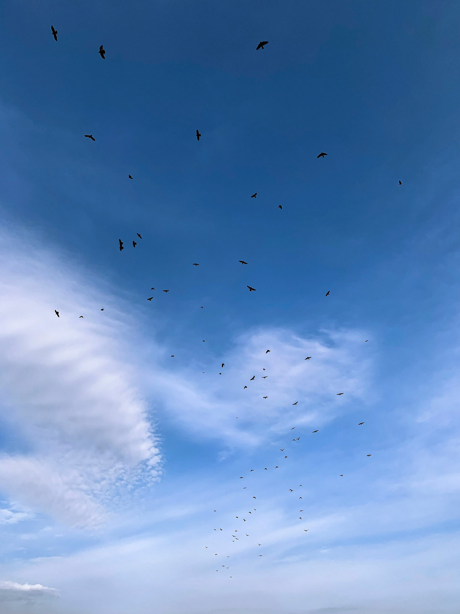 Saratov, 2020 | iPhone XR