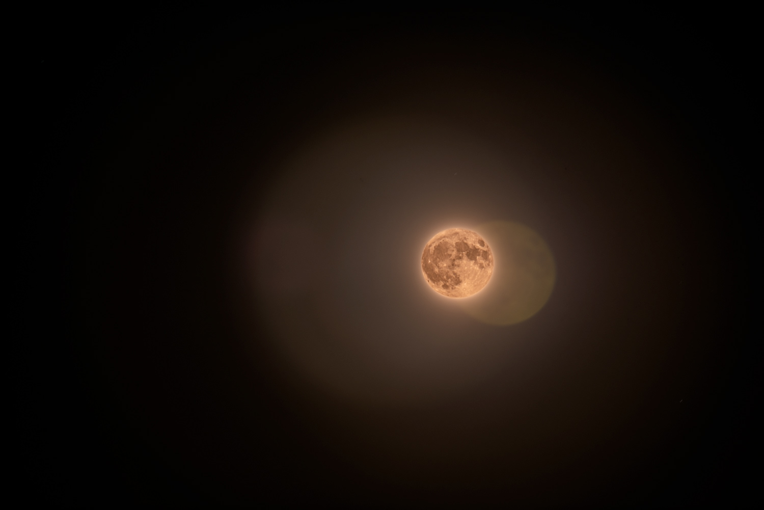 Halloween Blue Moon © Irwin Seidman