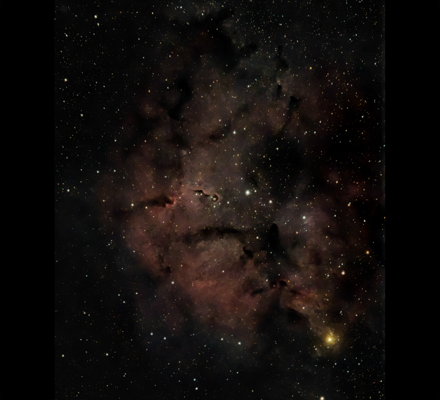 IC 1396 Elephant's Trunk Nebula