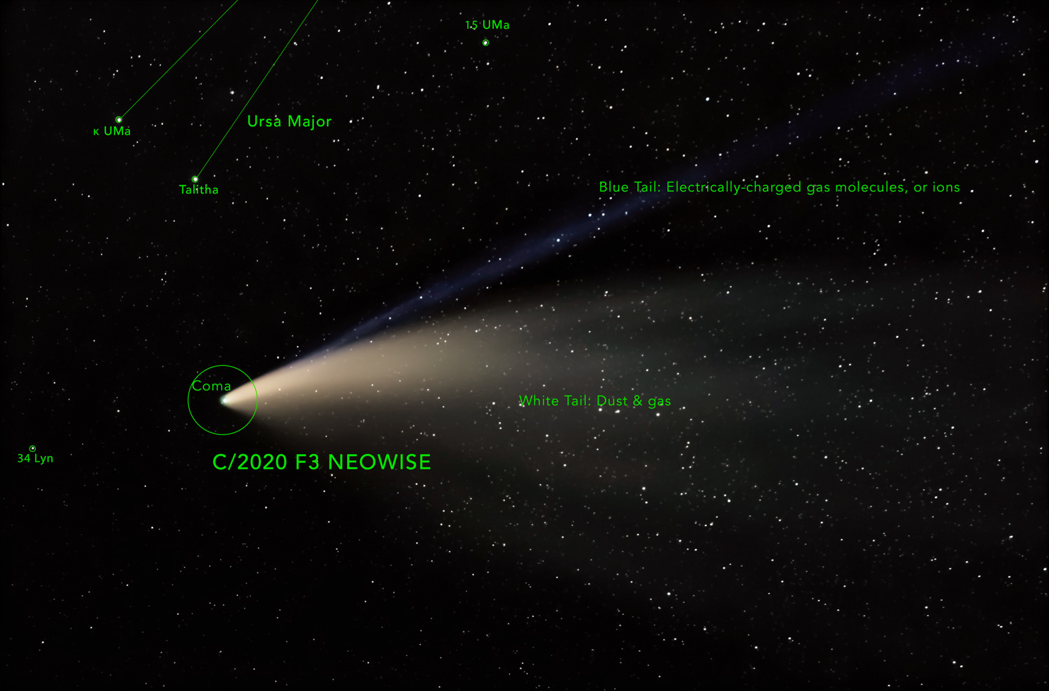 C/2020 F3 Comet NEOWISE (annotated) © Irwin Seidman