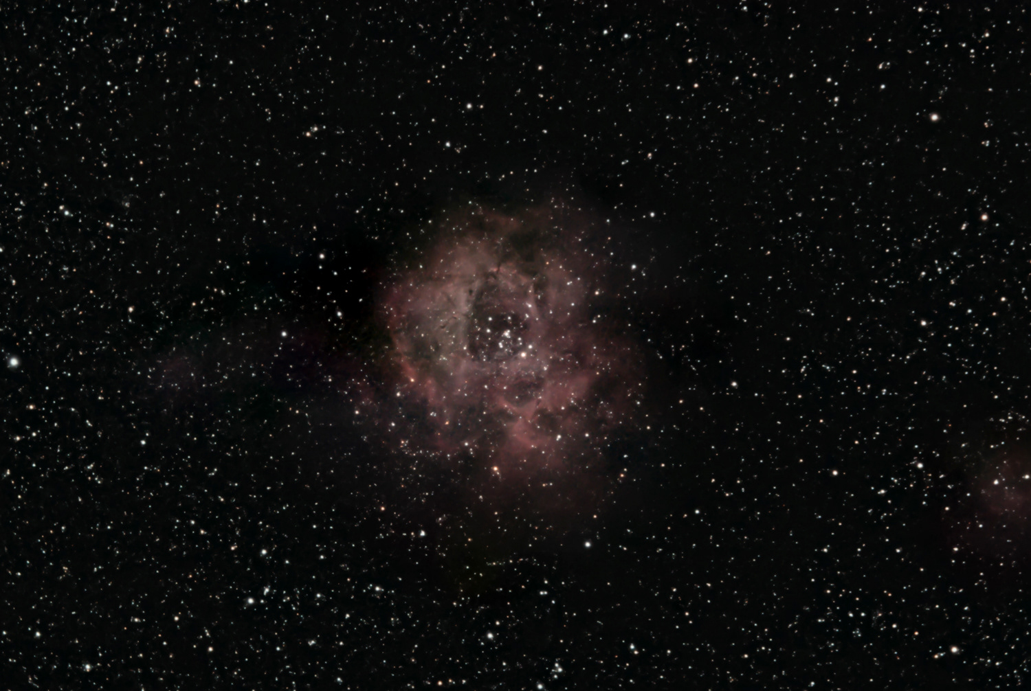 NGC 2237 • Rosette Nebula © Irwin Seidman