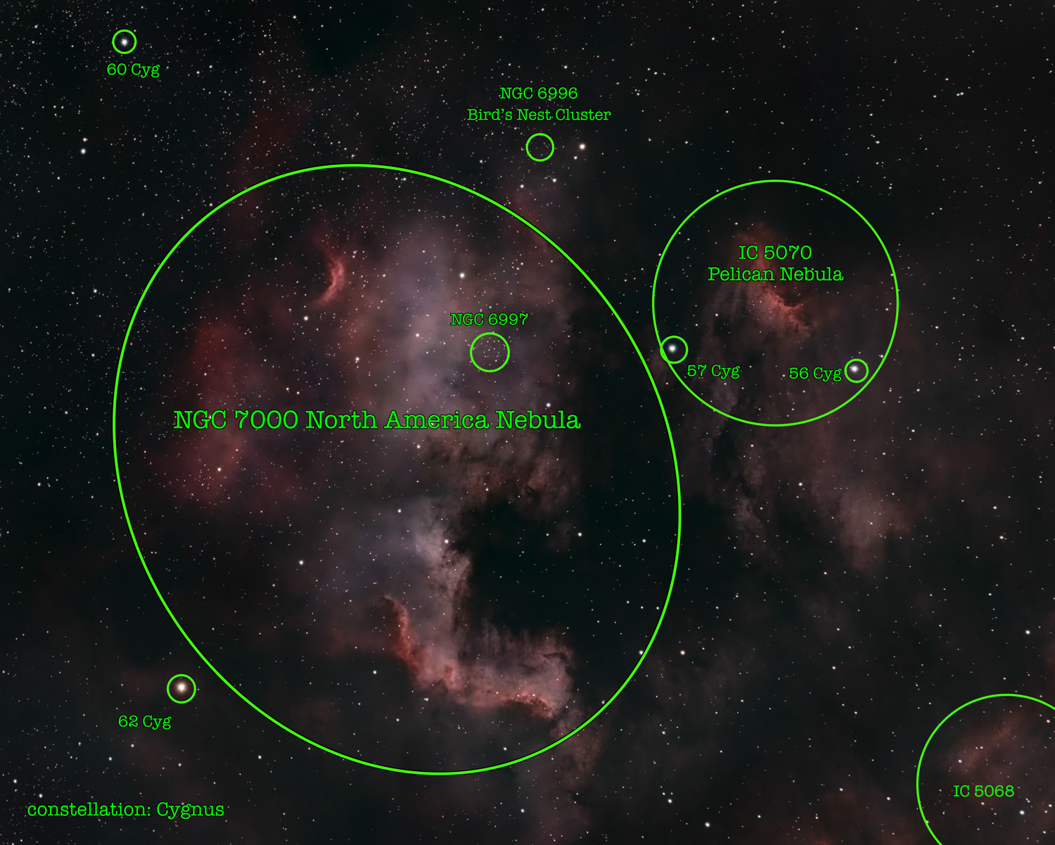 NGC 7000 North America Nebula annotated © Irwin Seidman