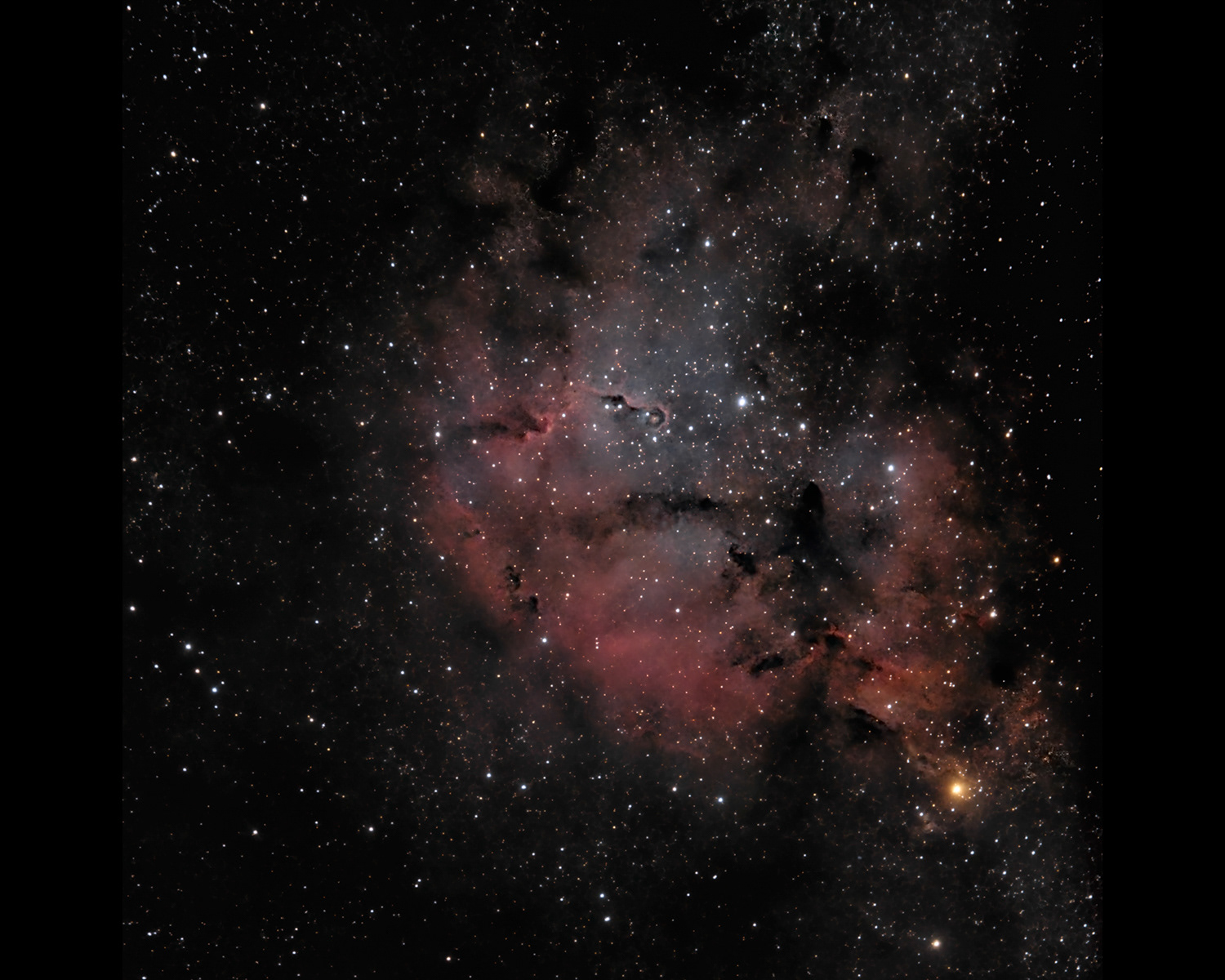 The Elephant's Trunk Nebula (IC1396)